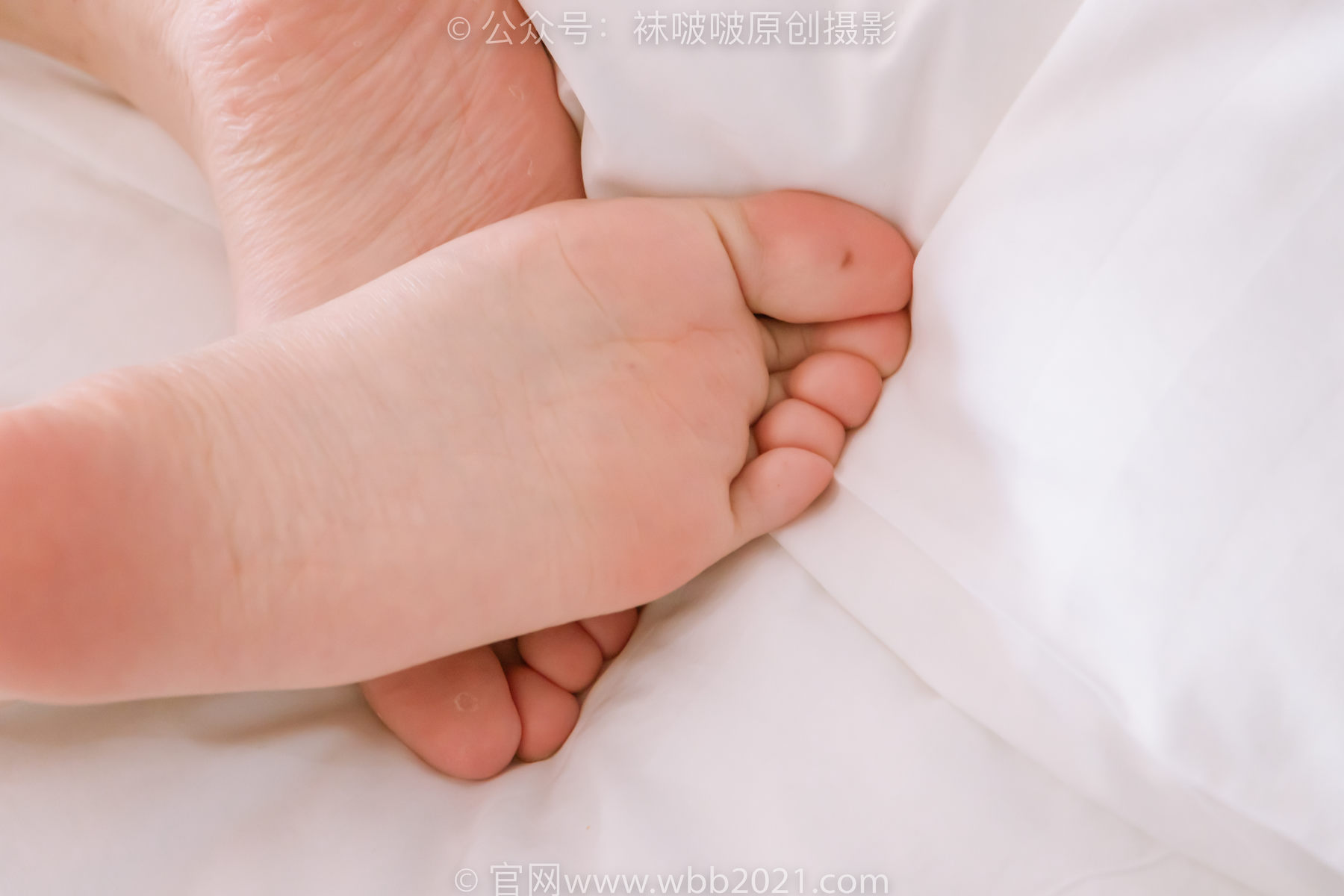 BoBoSocks袜啵啵 No.239 小甜豆-棉拖鞋、灰丝、裸足