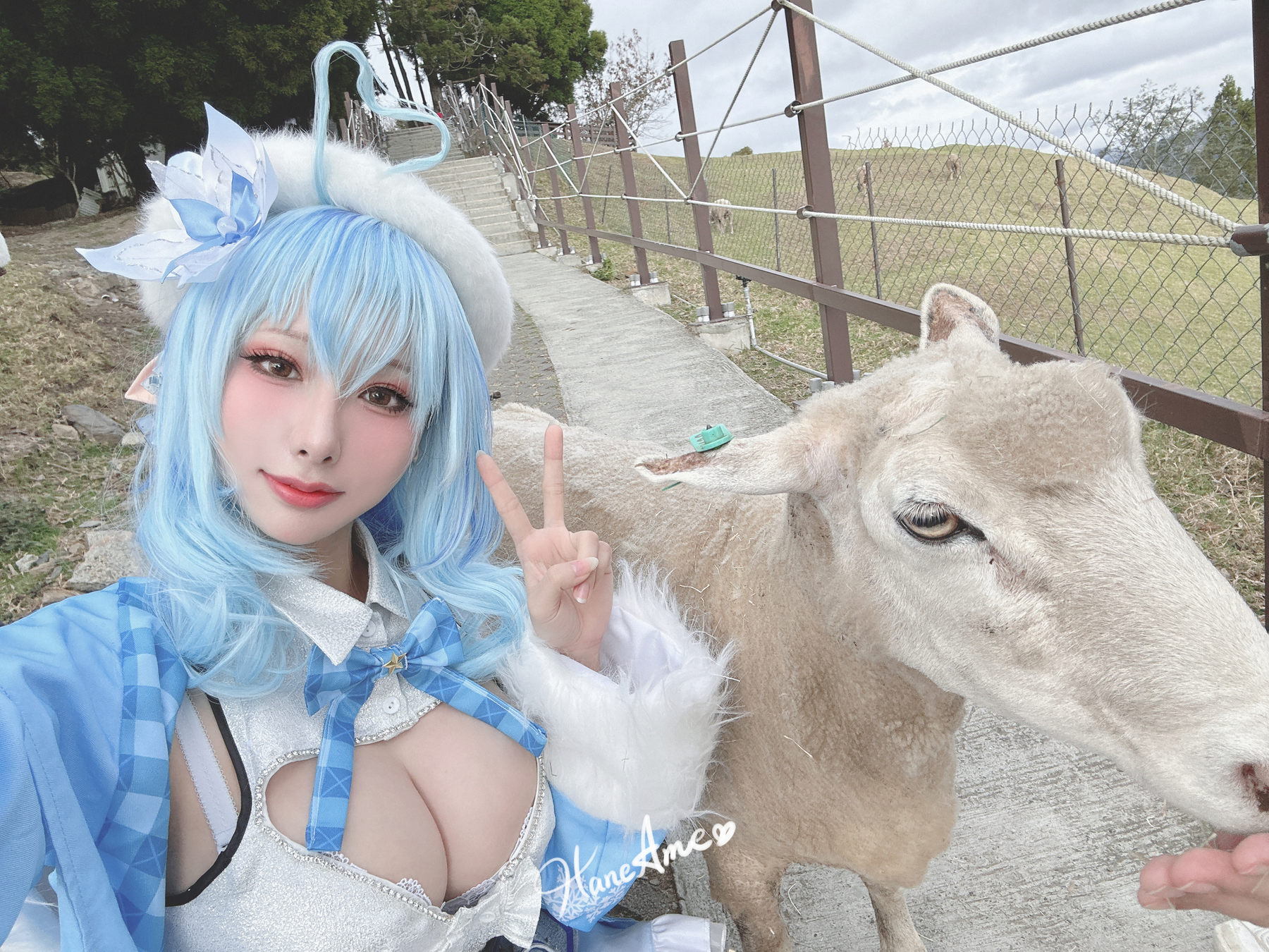 Hane Ame 雨波写真 - Yukihana Lamy (Hololive)