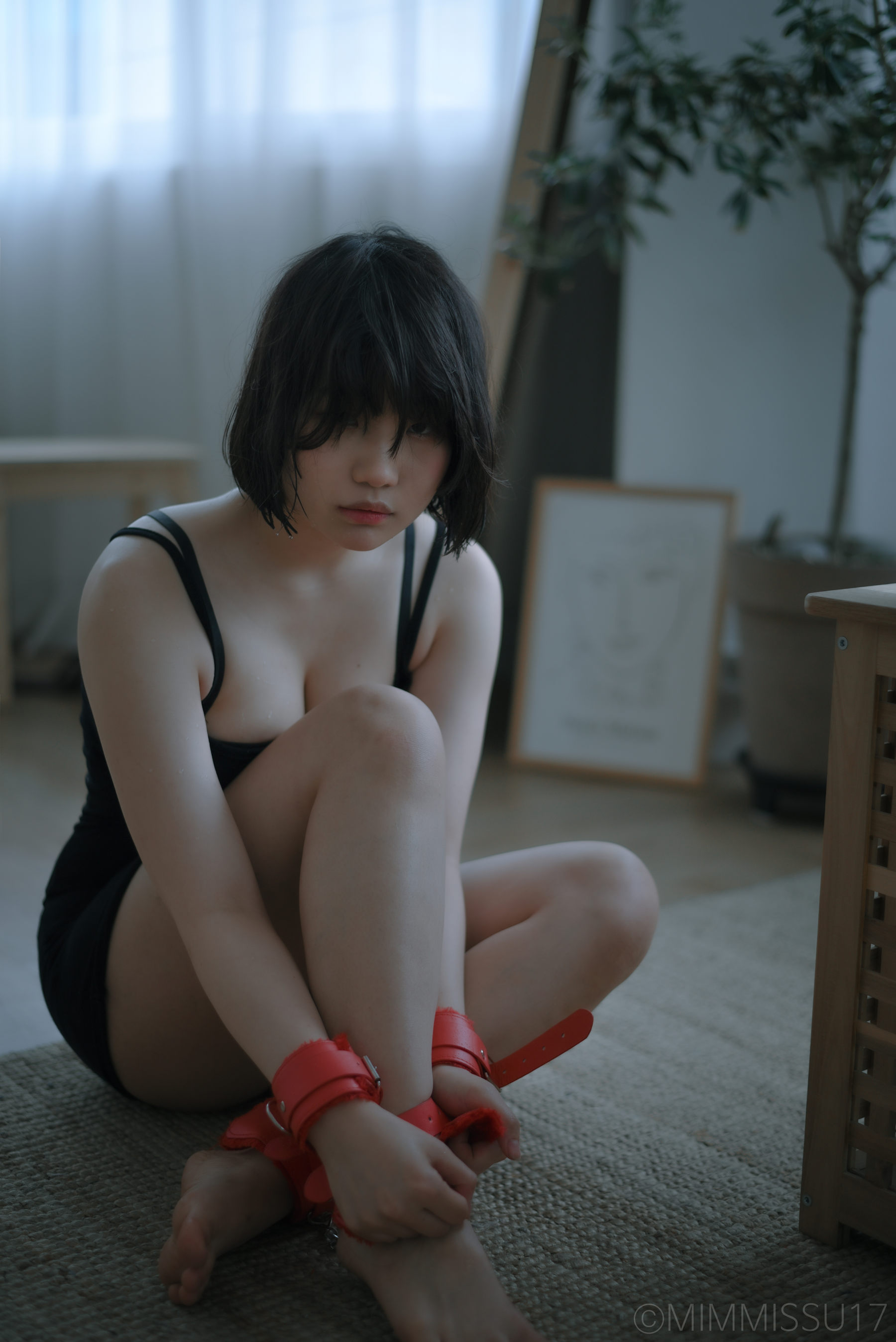 Mimmi - The pet