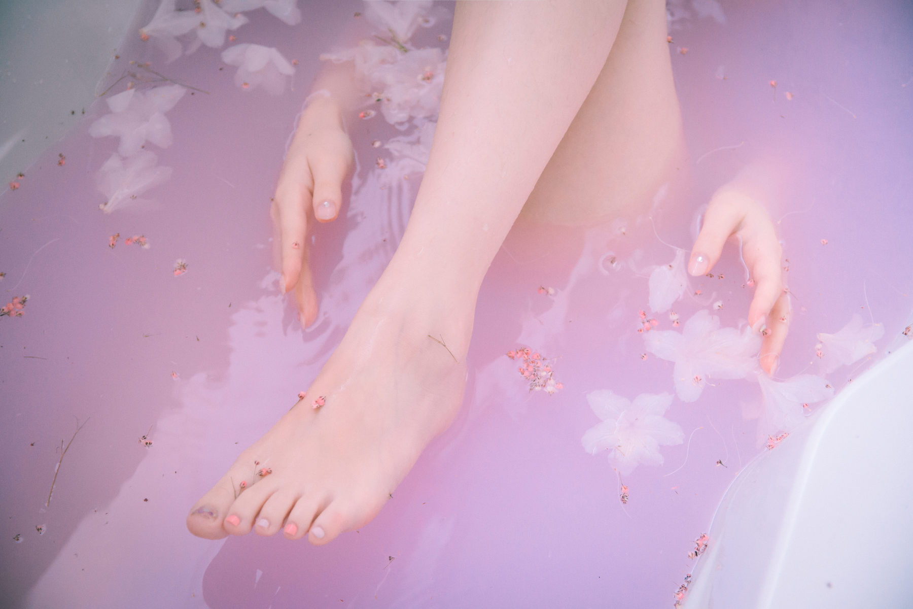 Pureding - Flower Shower