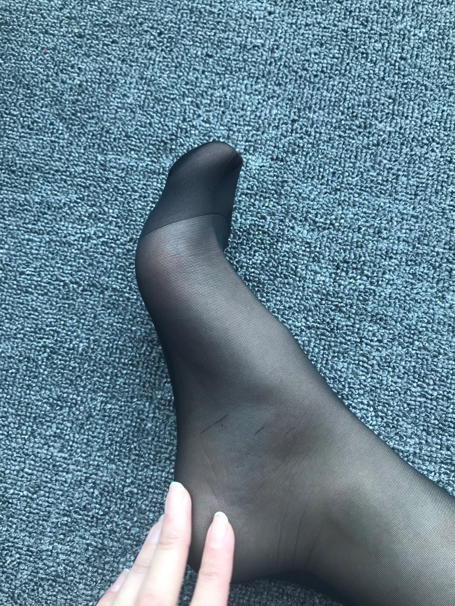 仙女山的仙女鹿z微信朋友圈视图合集1