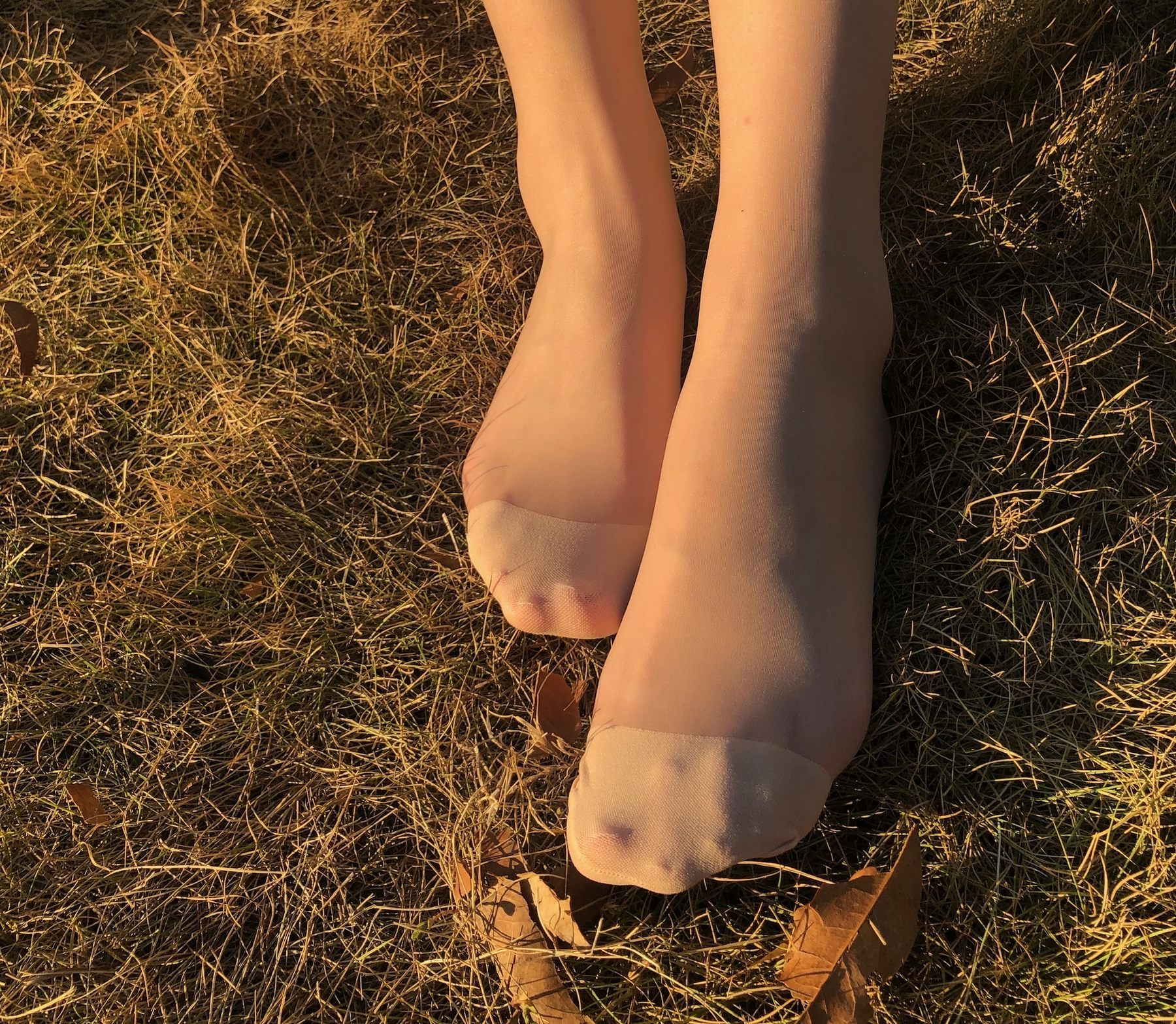 仙女山的仙女鹿z微信朋友圈视图合集10