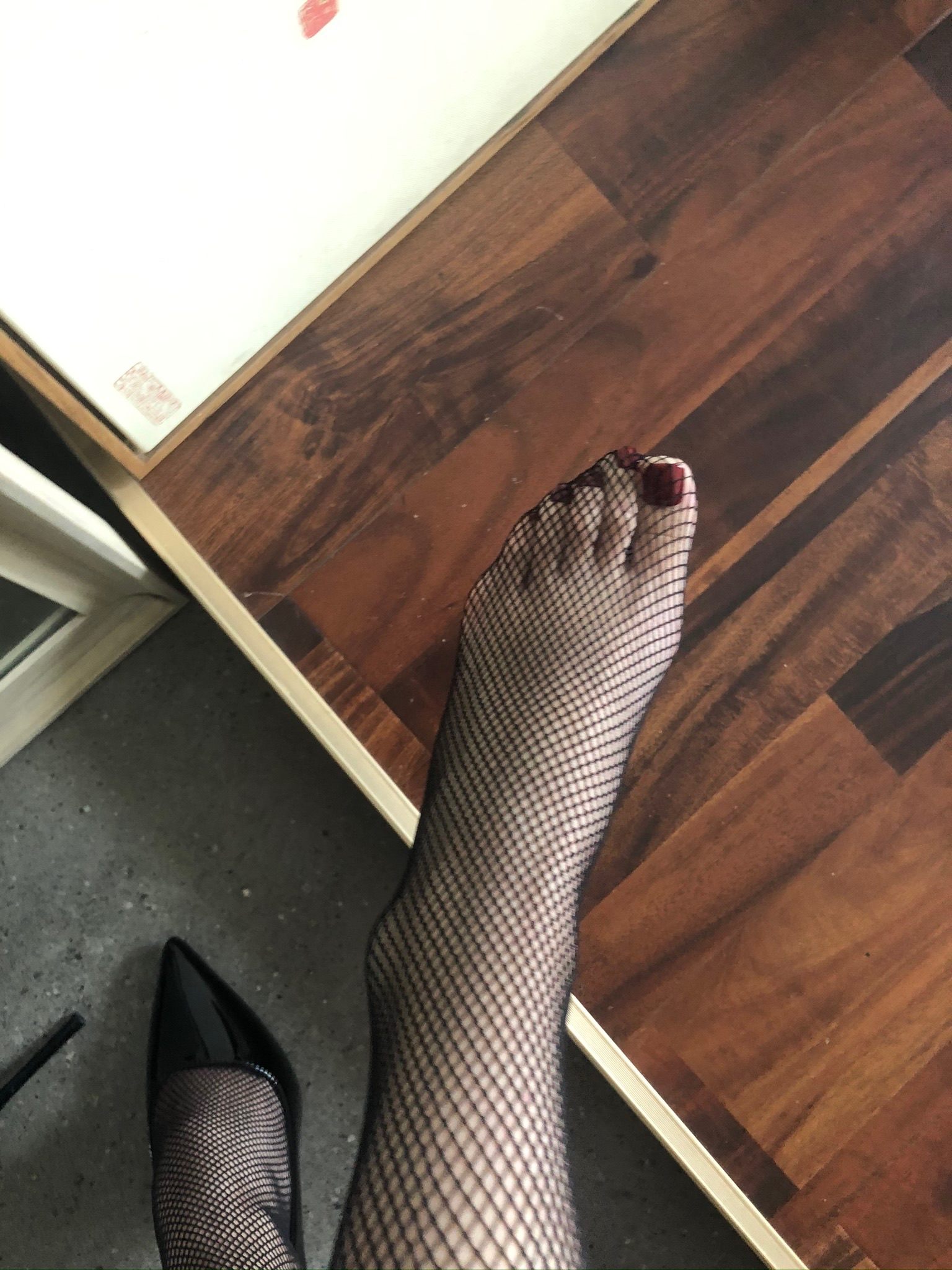 仙女山的仙女鹿z微信朋友圈视图合集11