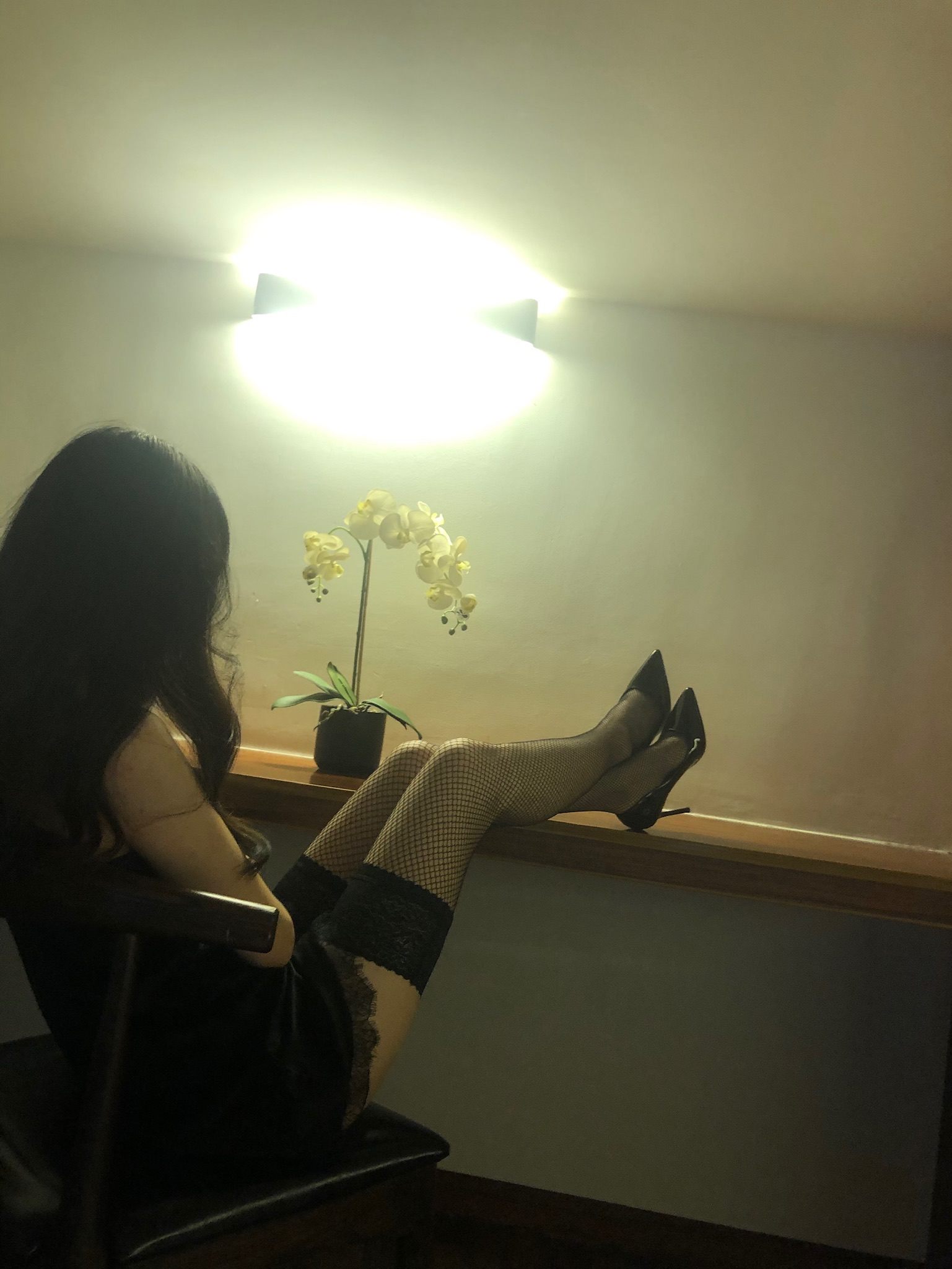 仙女山的仙女鹿z微信朋友圈视图合集11