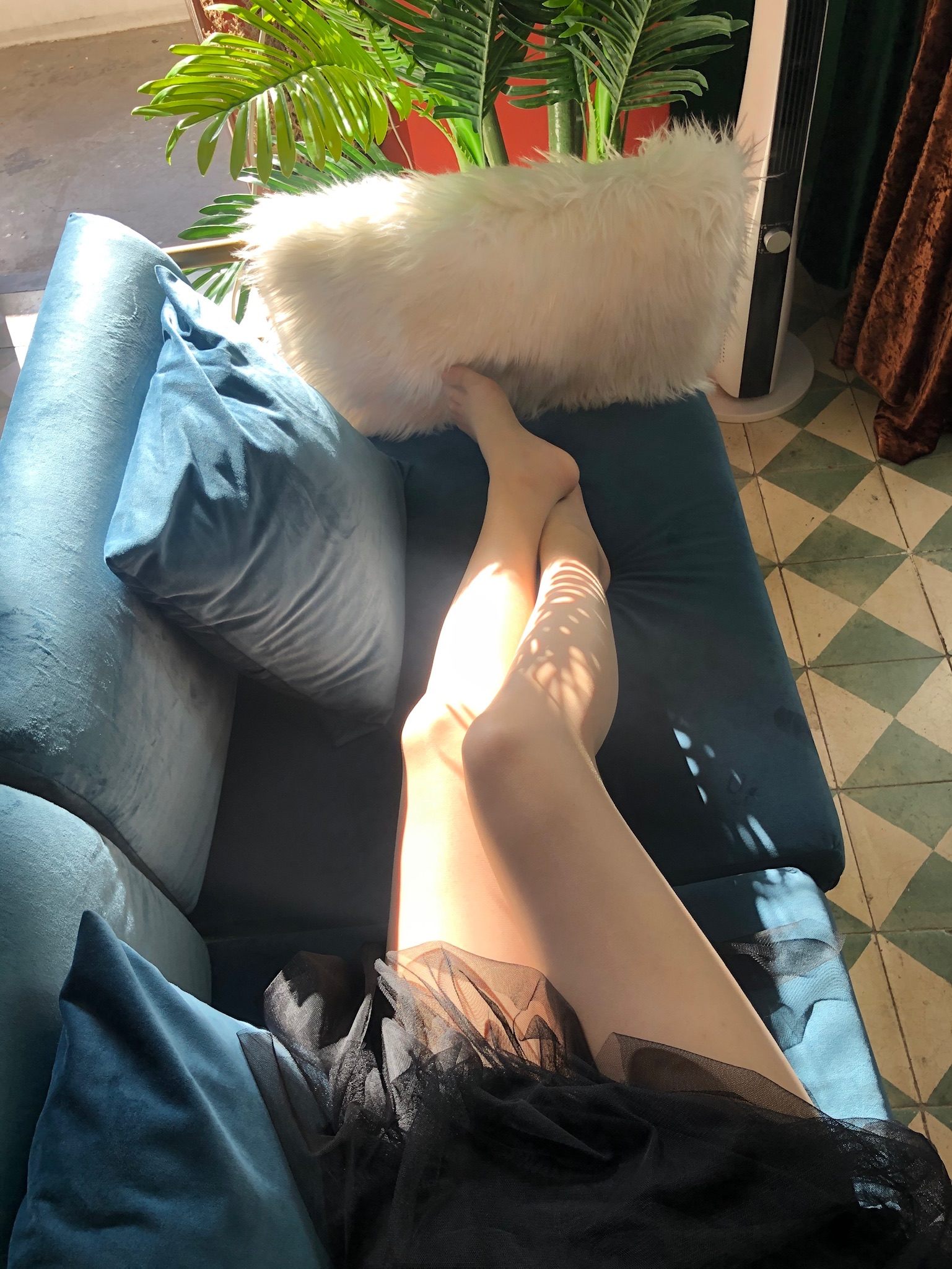 仙女山的仙女鹿z微信朋友圈视图合集13