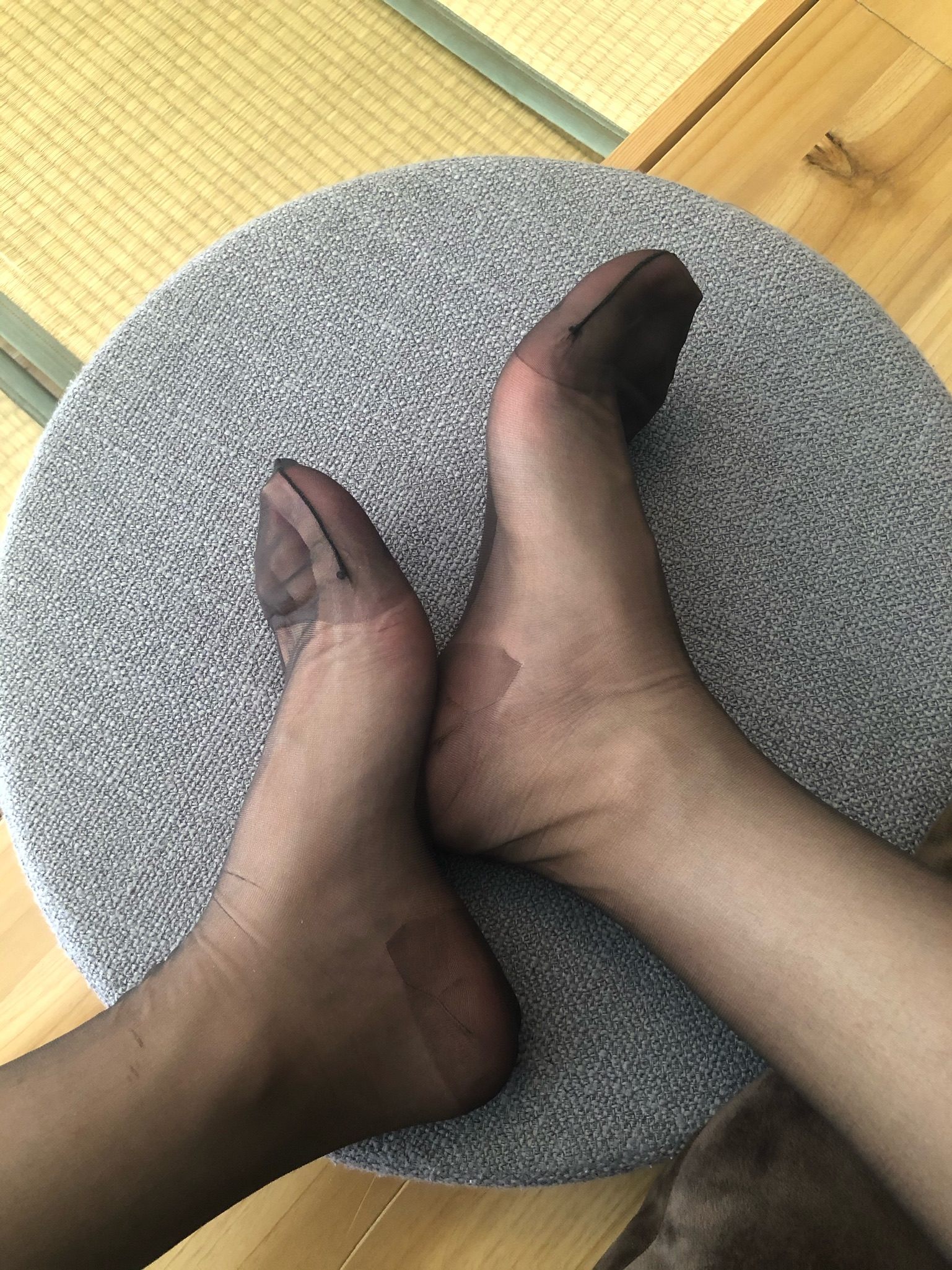 仙女山的仙女鹿z微信朋友圈视图合集15
