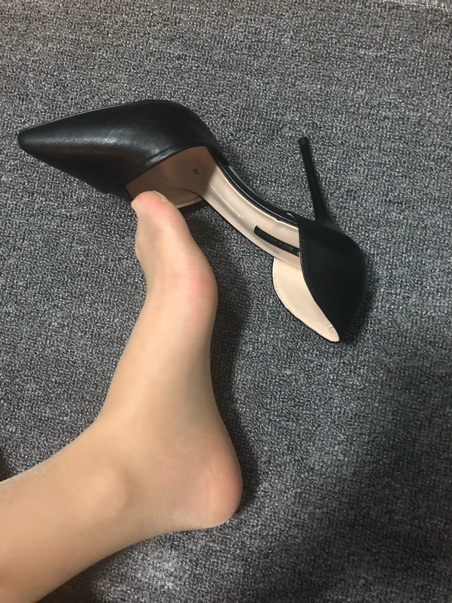 仙女山的仙女鹿z微信朋友圈视图合集17