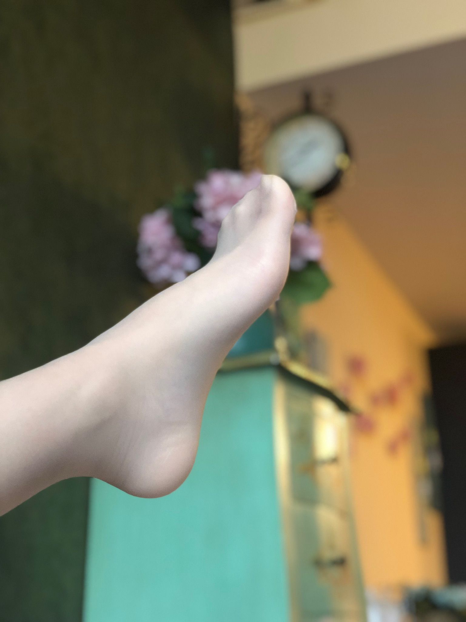 仙女山的仙女鹿z微信朋友圈视图合集19