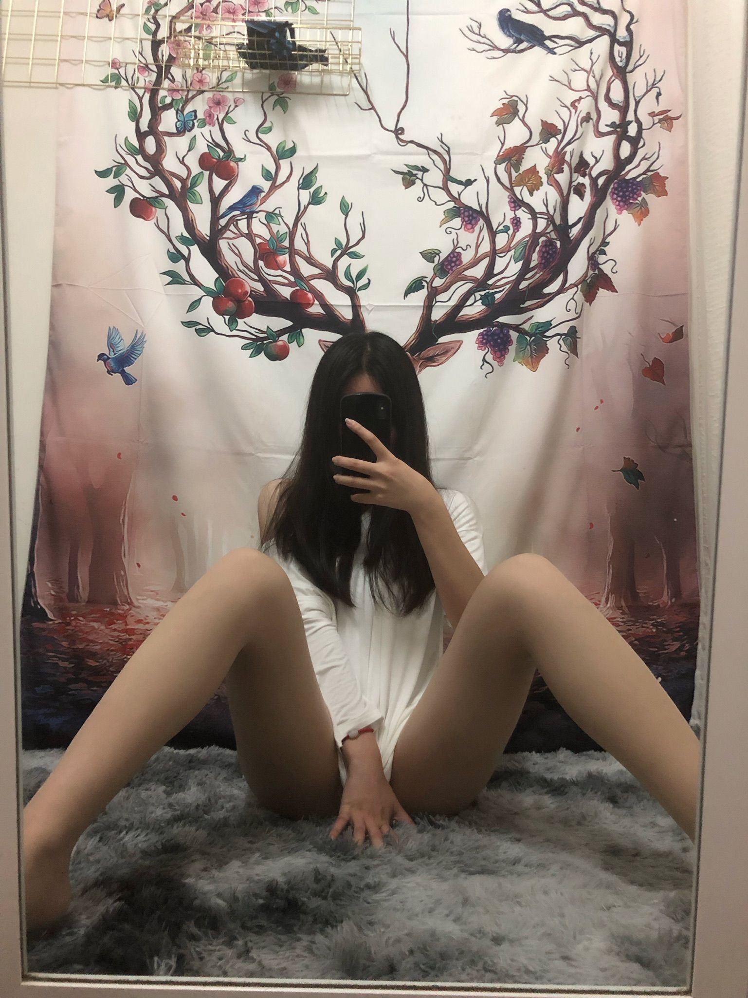 仙女山的仙女鹿z微信朋友圈视图合集20