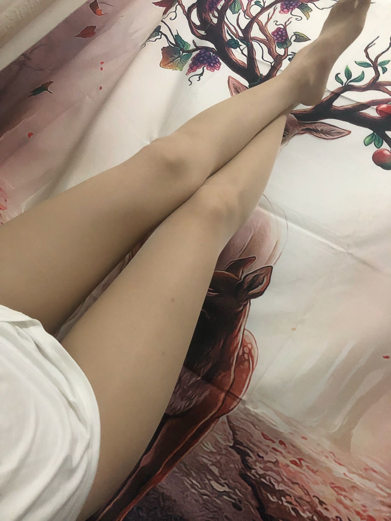 仙女山的仙女鹿z微信朋友圈视图合集20