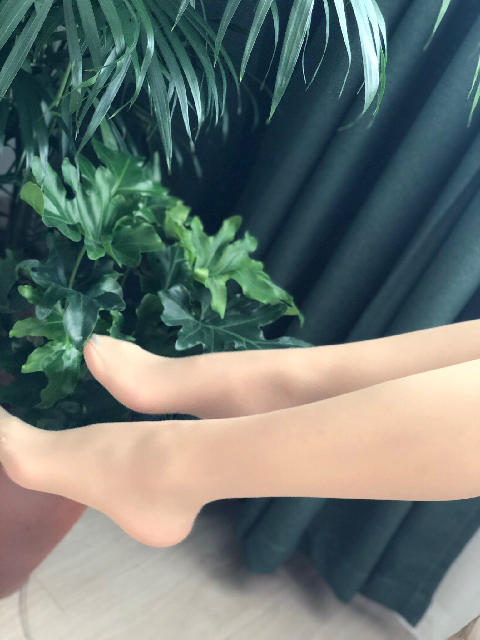 仙女山的仙女鹿z微信朋友圈视图合集20