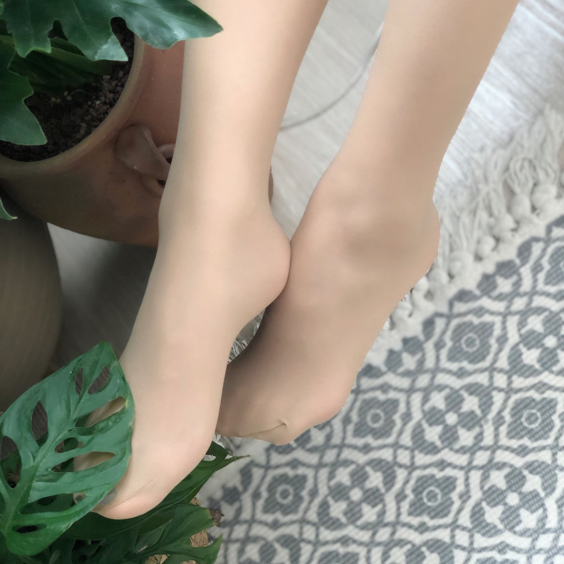 仙女山的仙女鹿z微信朋友圈视图合集20
