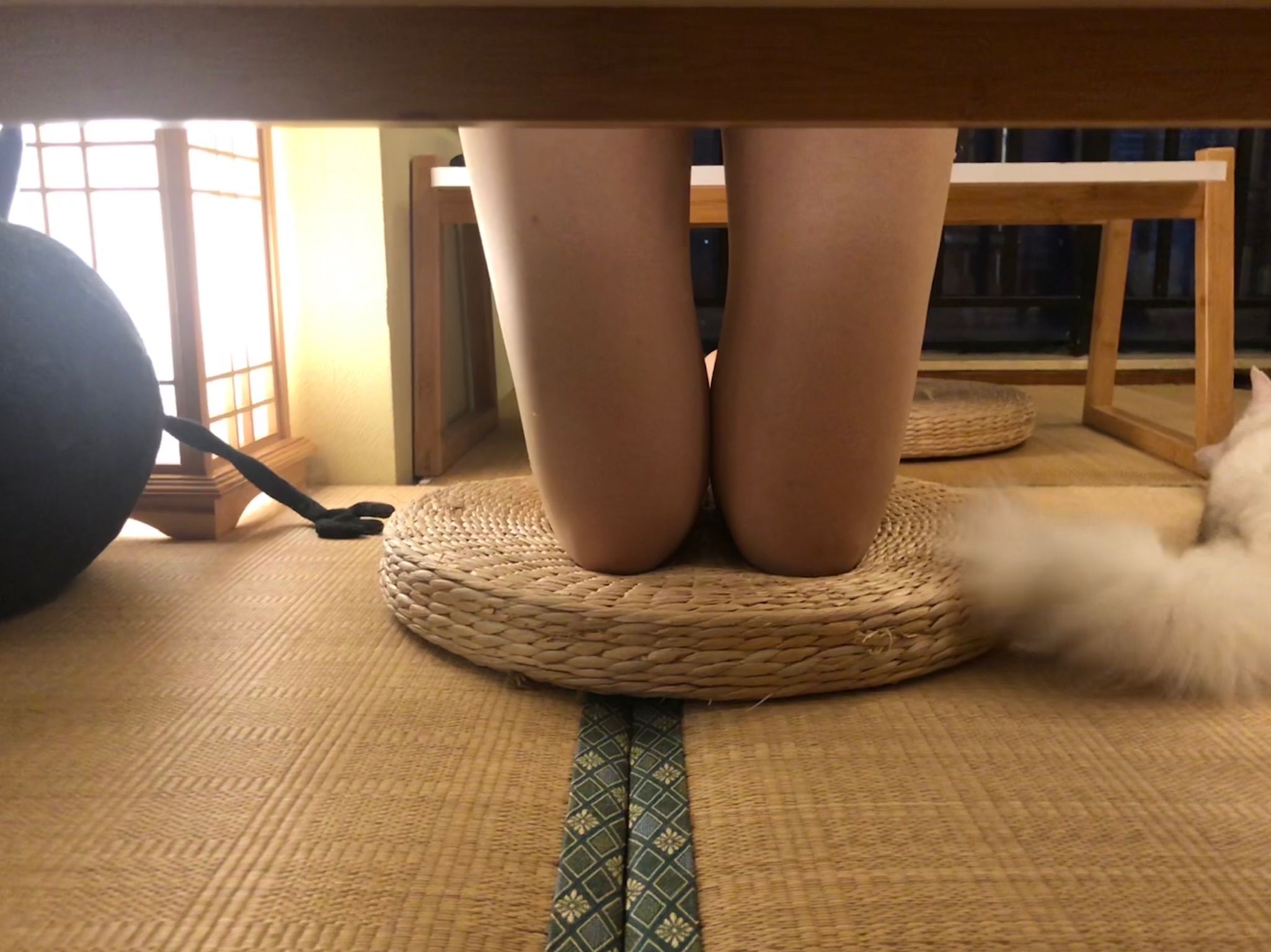 仙女山的仙女鹿z微信朋友圈视图合集3
