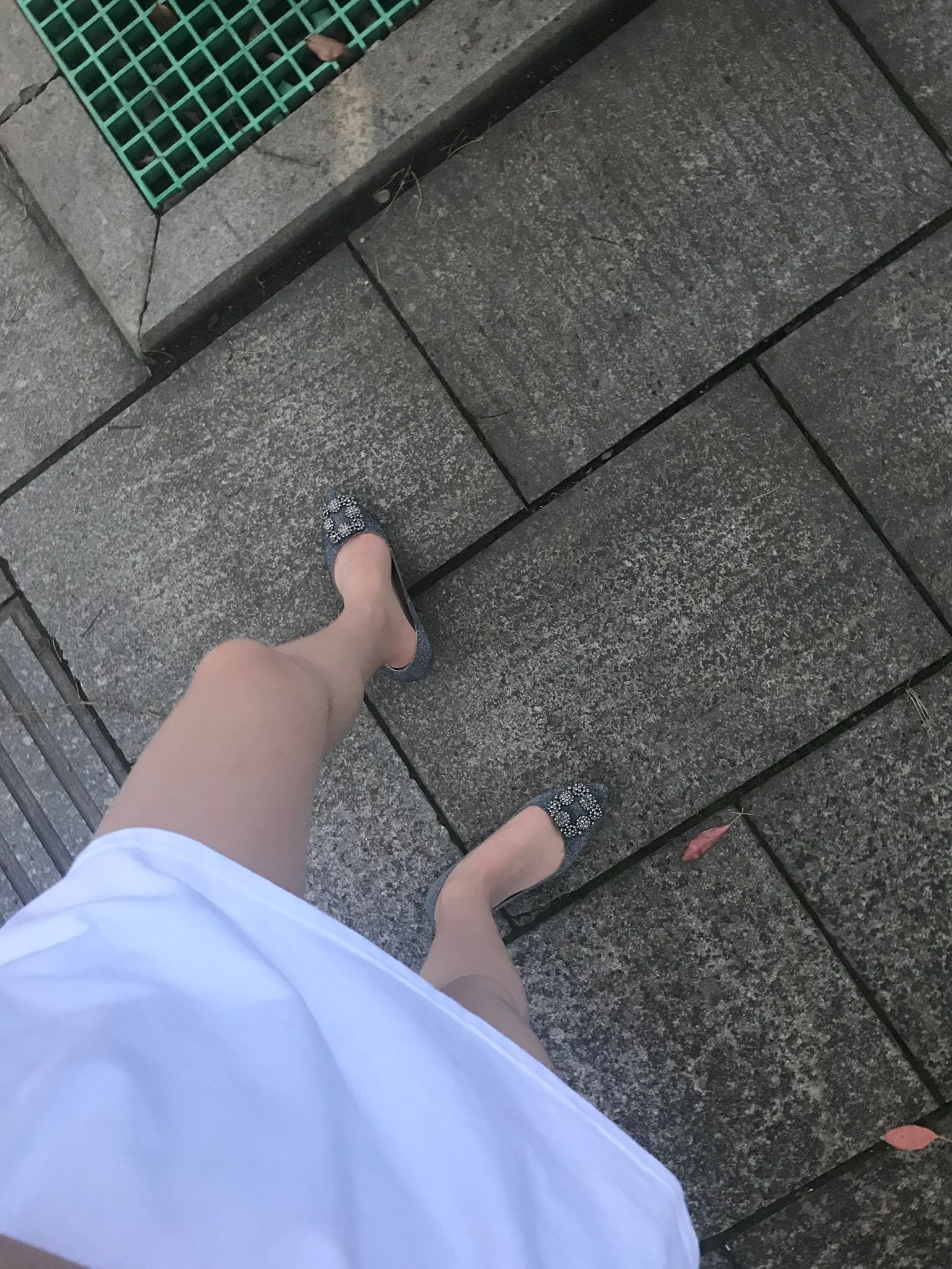 仙女山的仙女鹿z微信朋友圈视图合集3