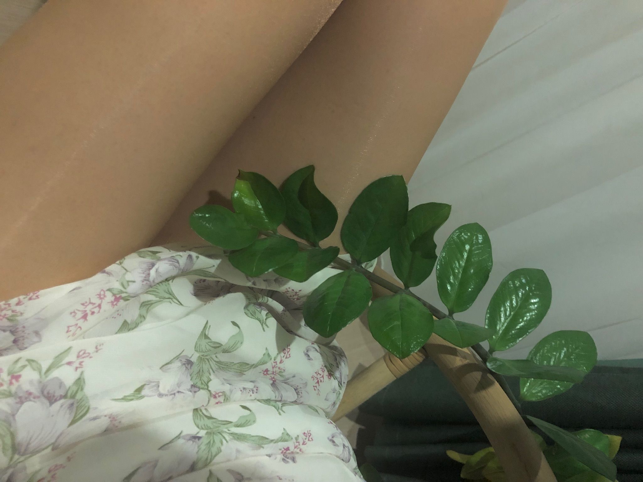 仙女山的仙女鹿z微信朋友圈视图合集5
