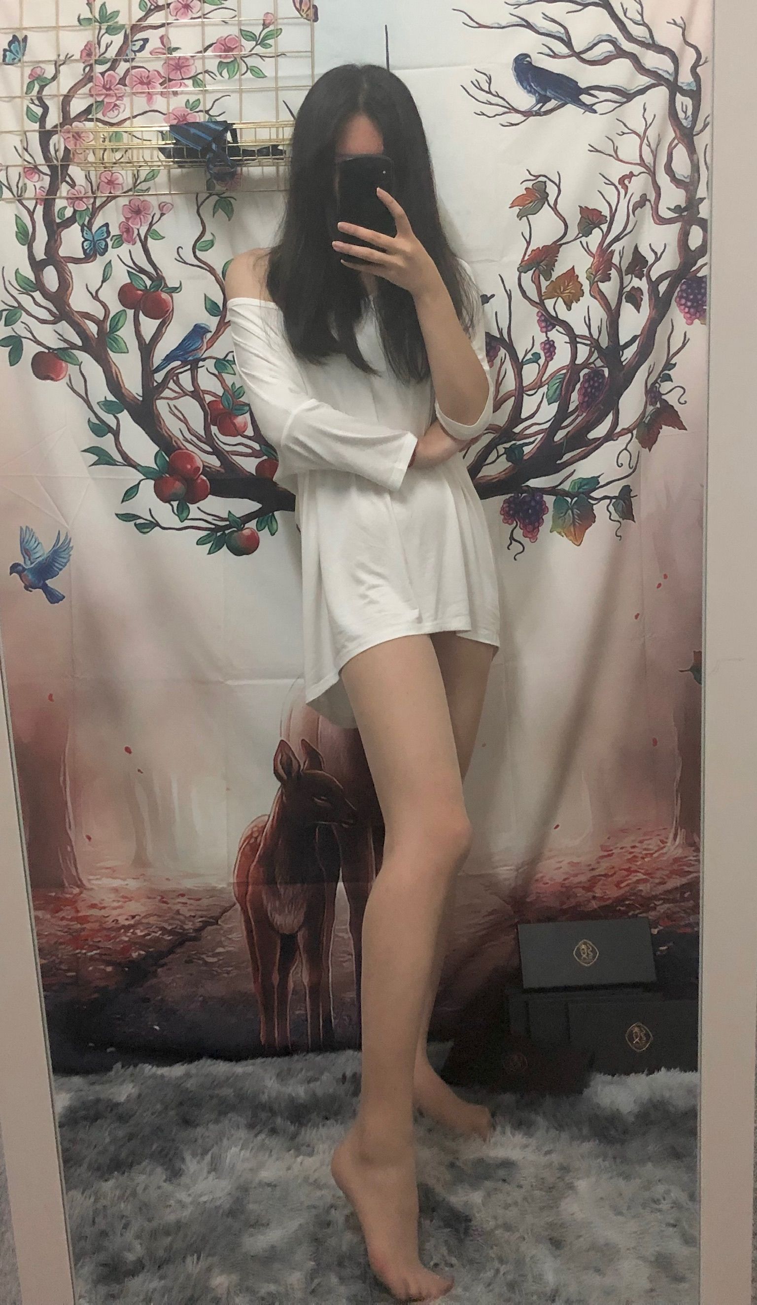 仙女山的仙女鹿z微信朋友圈视图合集5