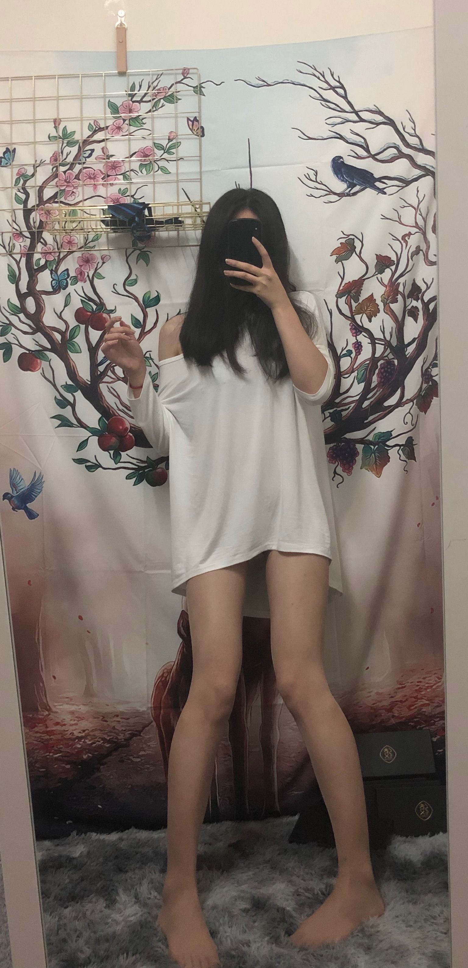仙女山的仙女鹿z微信朋友圈视图合集5