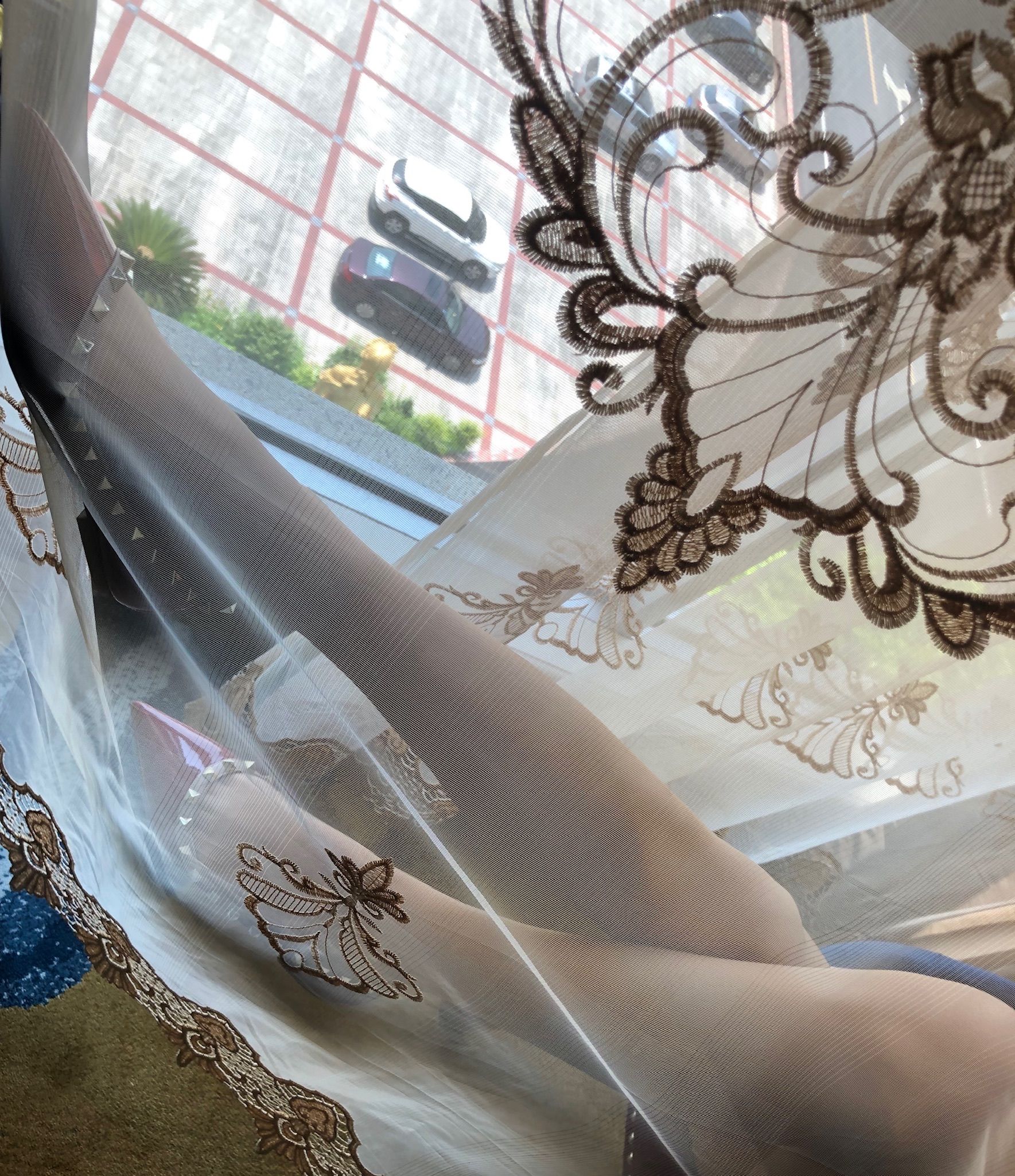 仙女山的仙女鹿z微信朋友圈视图合集5