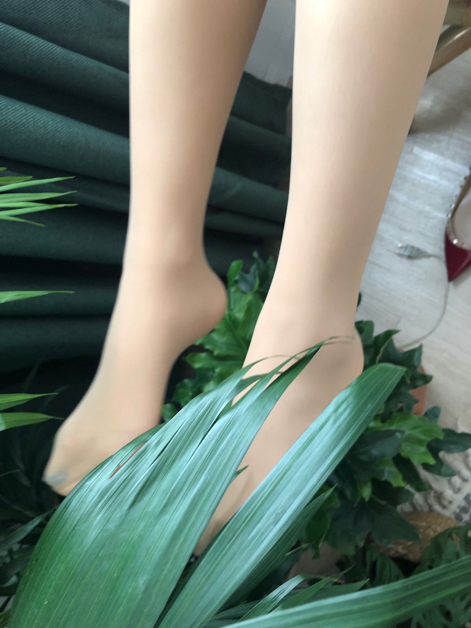 仙女山的仙女鹿z微信朋友圈视图合集6