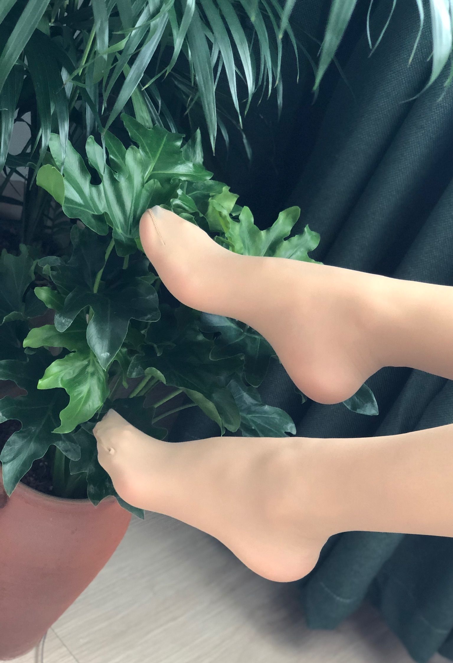仙女山的仙女鹿z微信朋友圈视图合集6