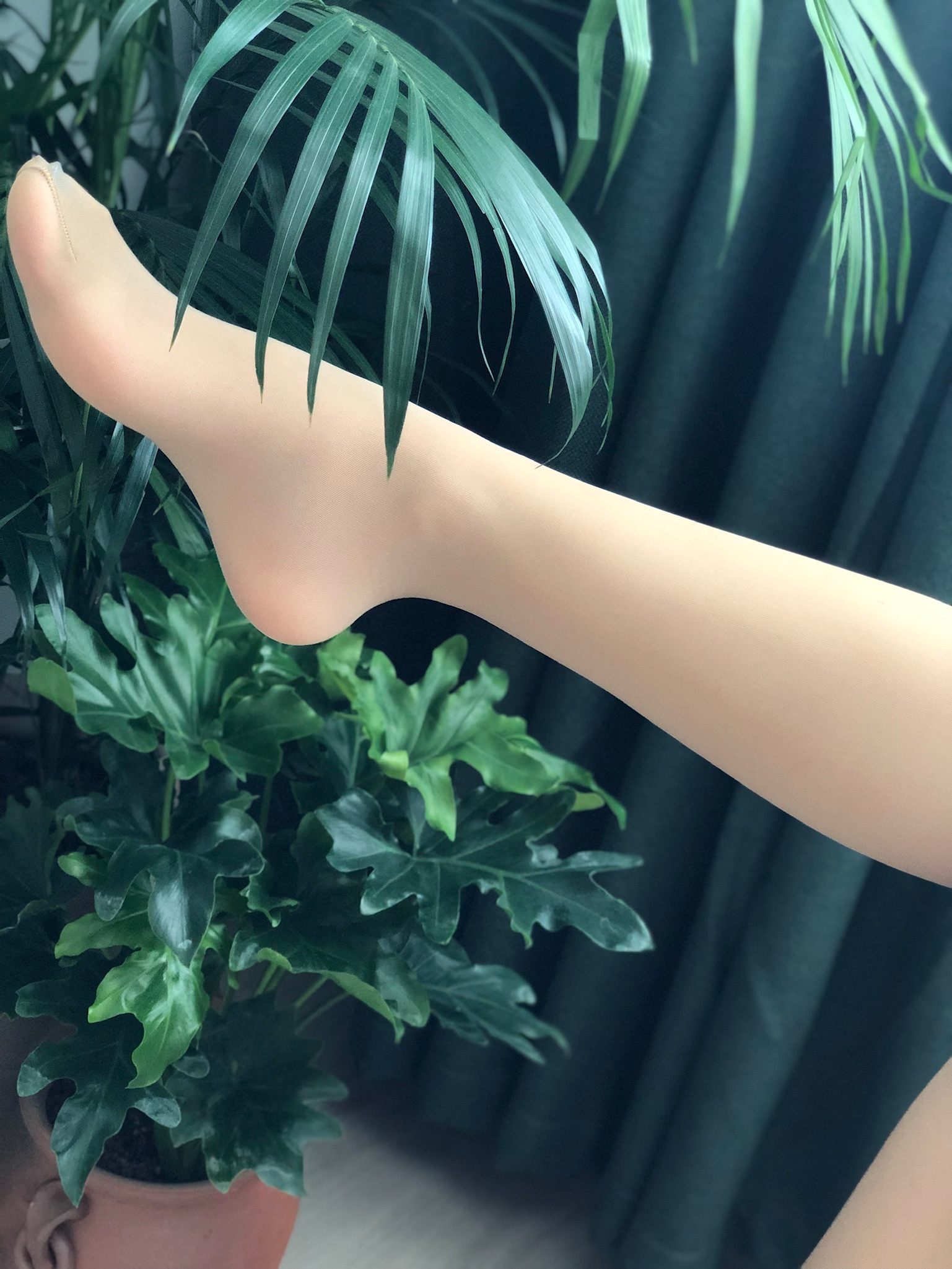 仙女山的仙女鹿z微信朋友圈视图合集6