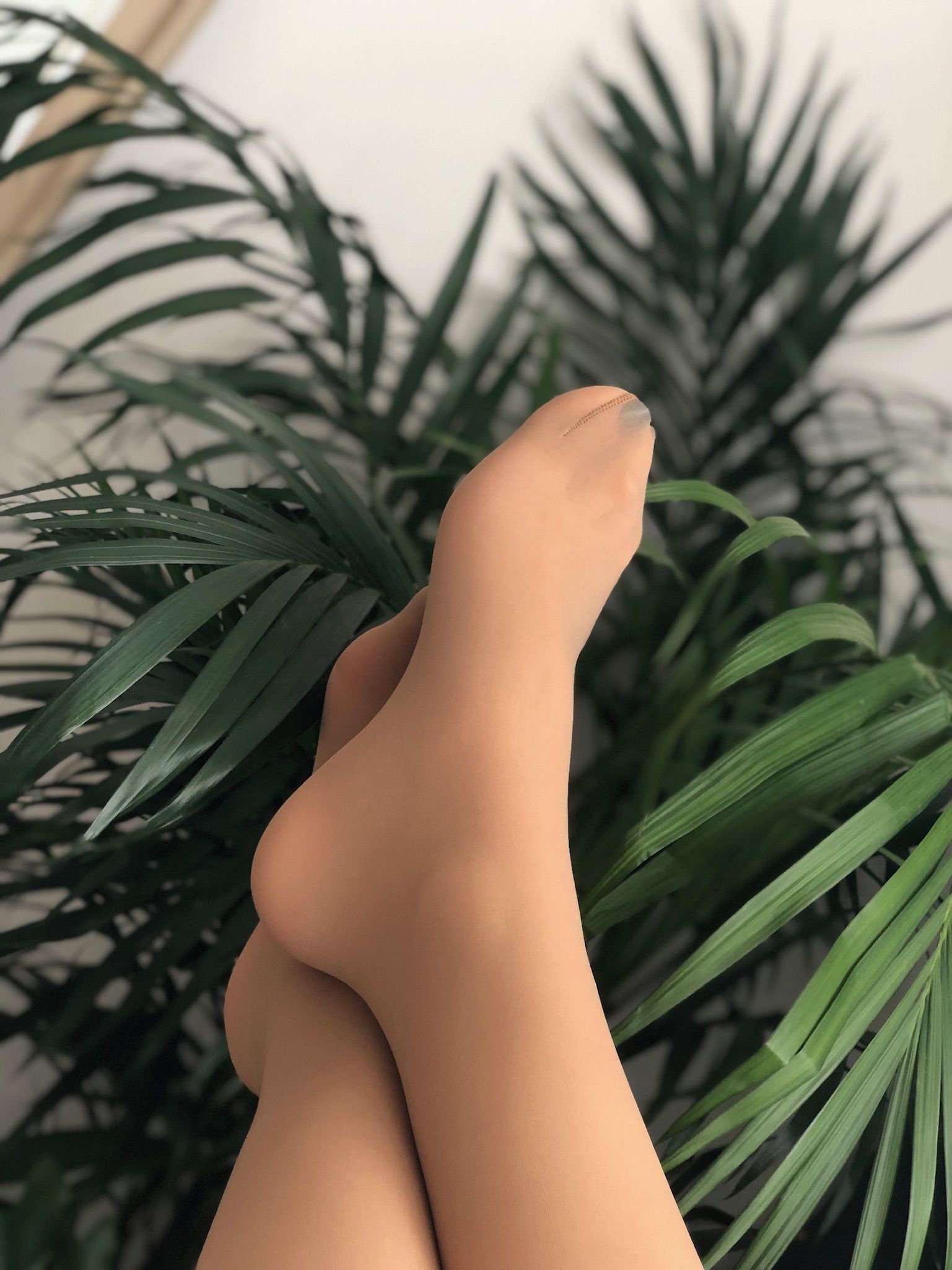 仙女山的仙女鹿z微信朋友圈视图合集6
