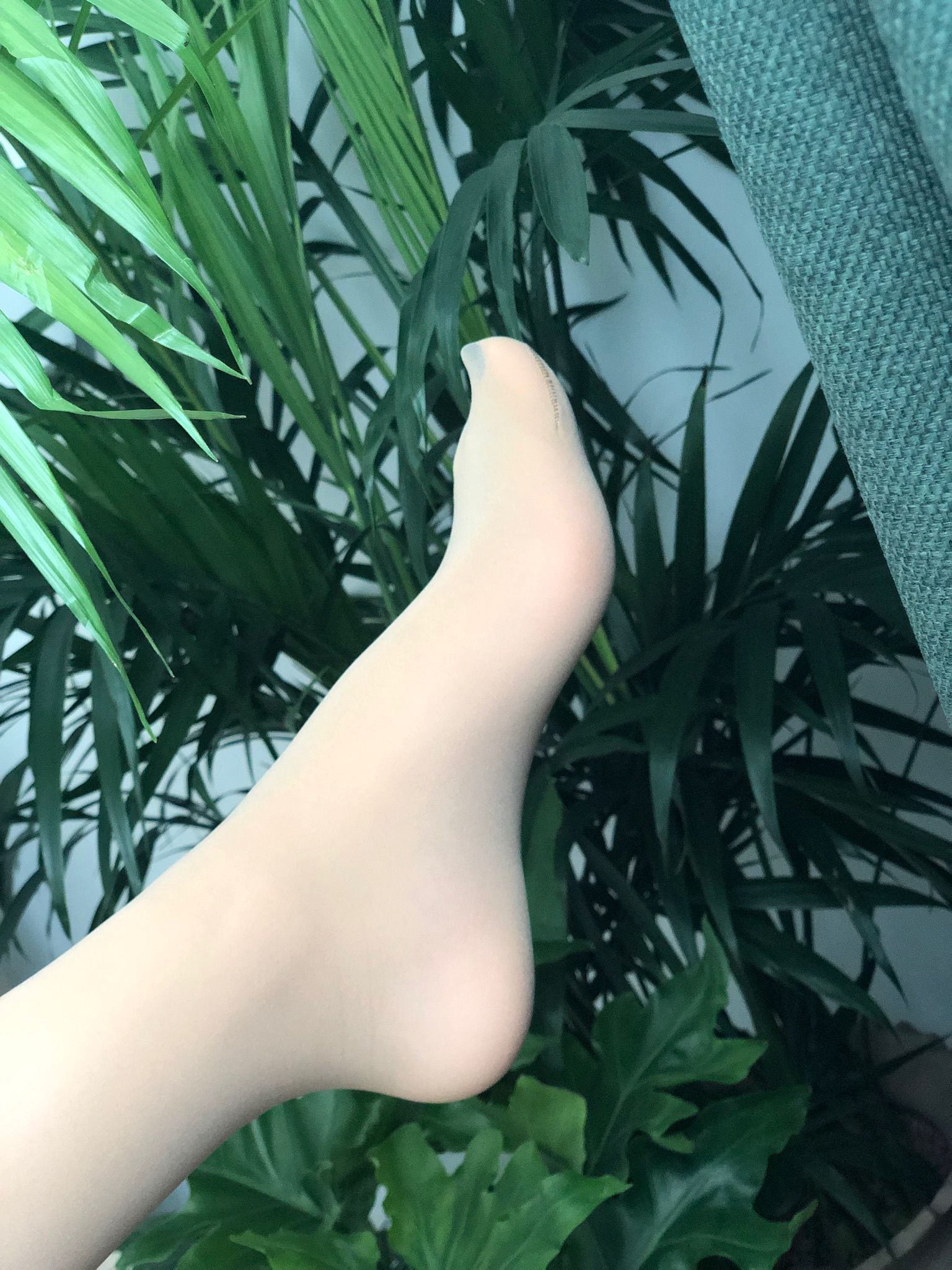 仙女山的仙女鹿z微信朋友圈视图合集6