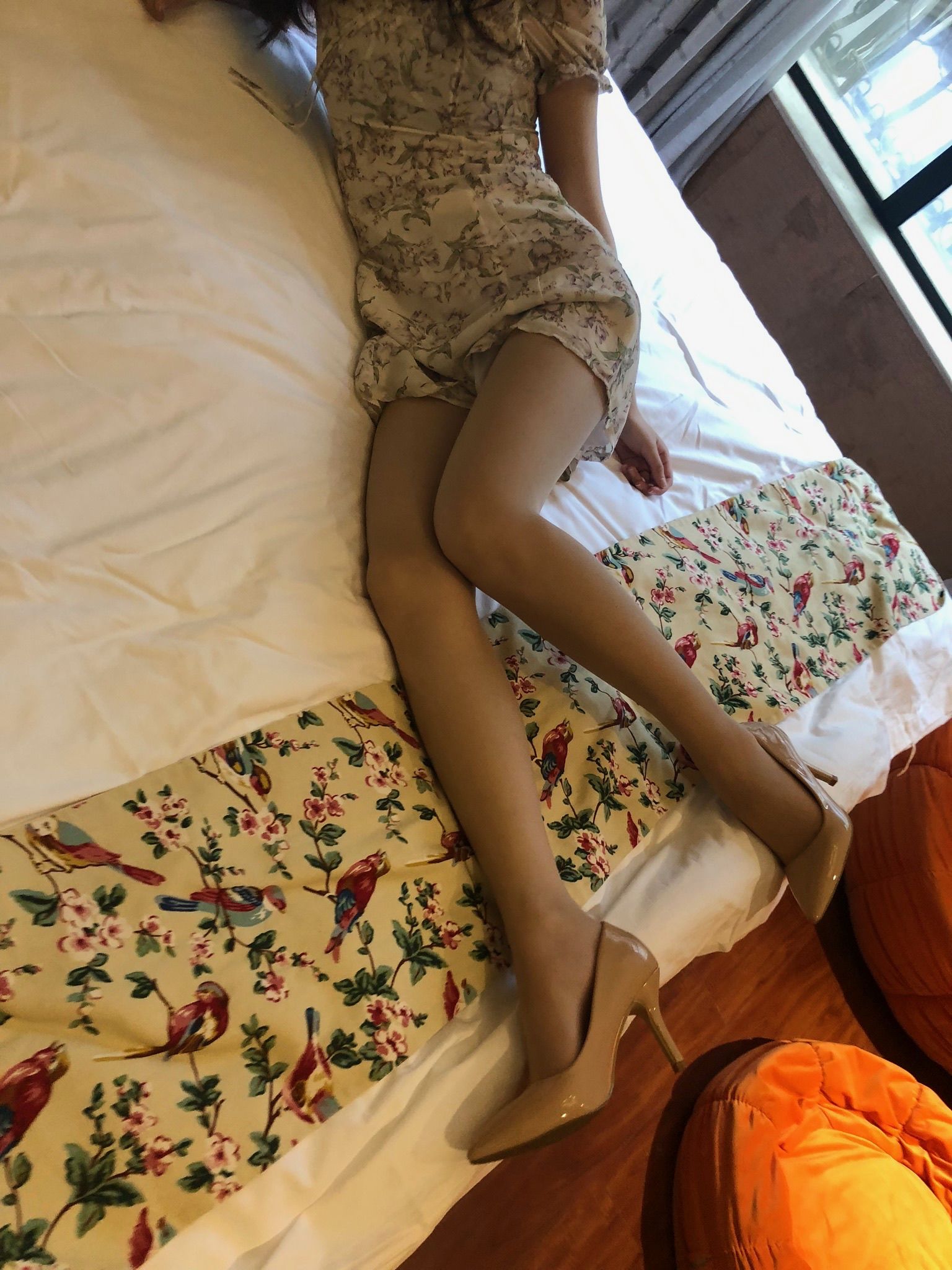 仙女山的仙女鹿z微信朋友圈视图合集8