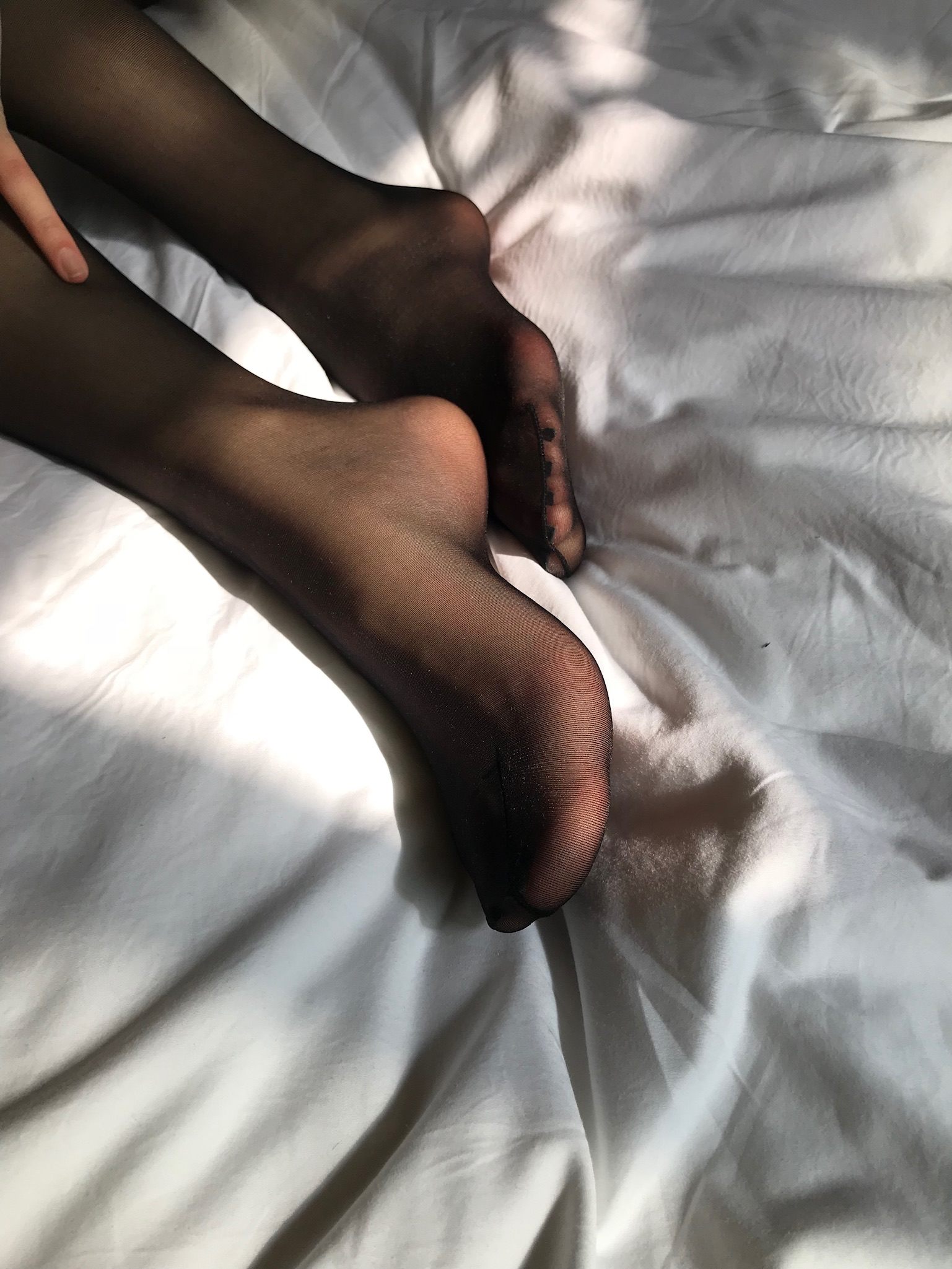仙女山的仙女鹿z微信朋友圈视图合集9