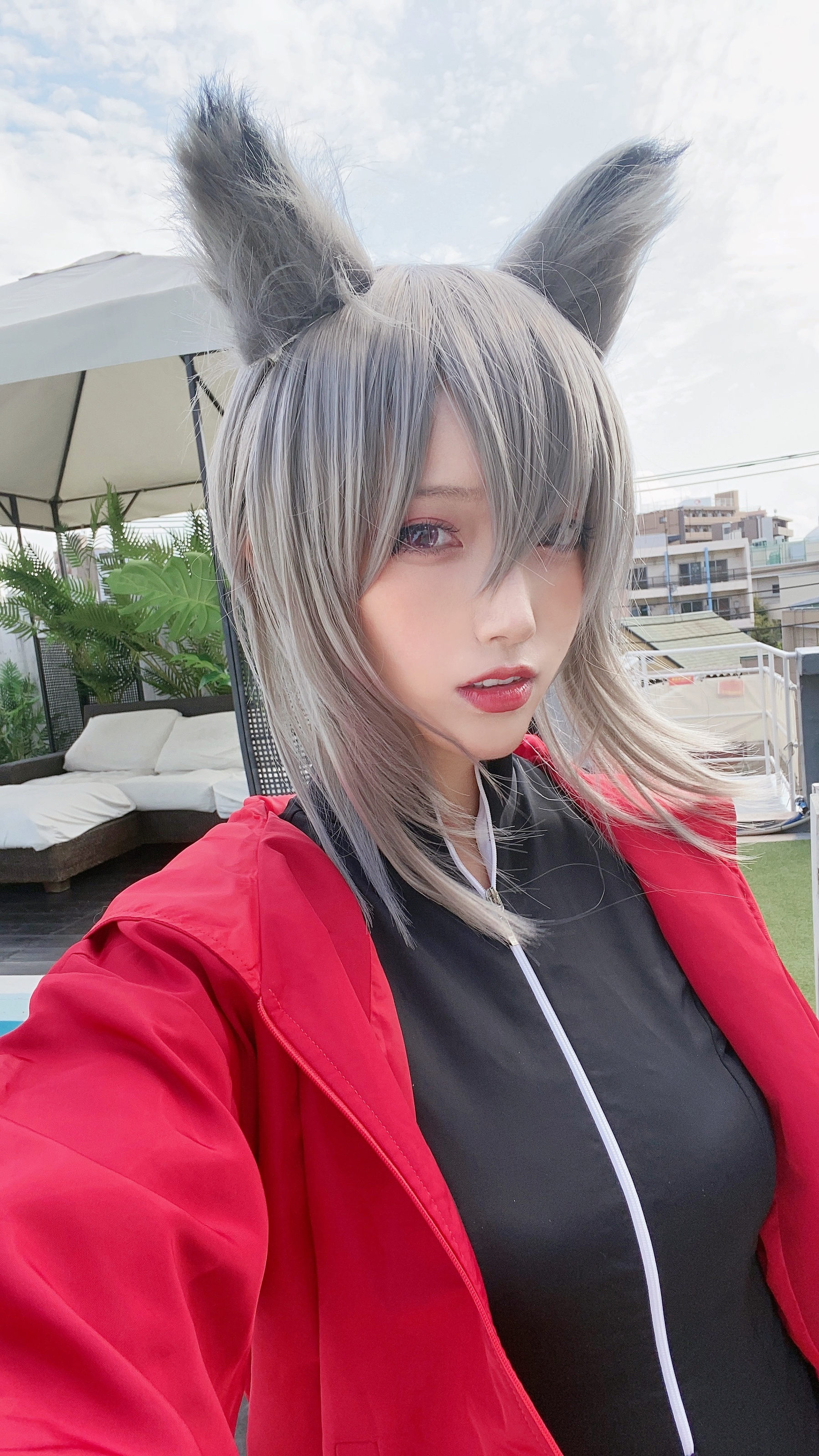 动漫博主切切celia - 明日方舟 红