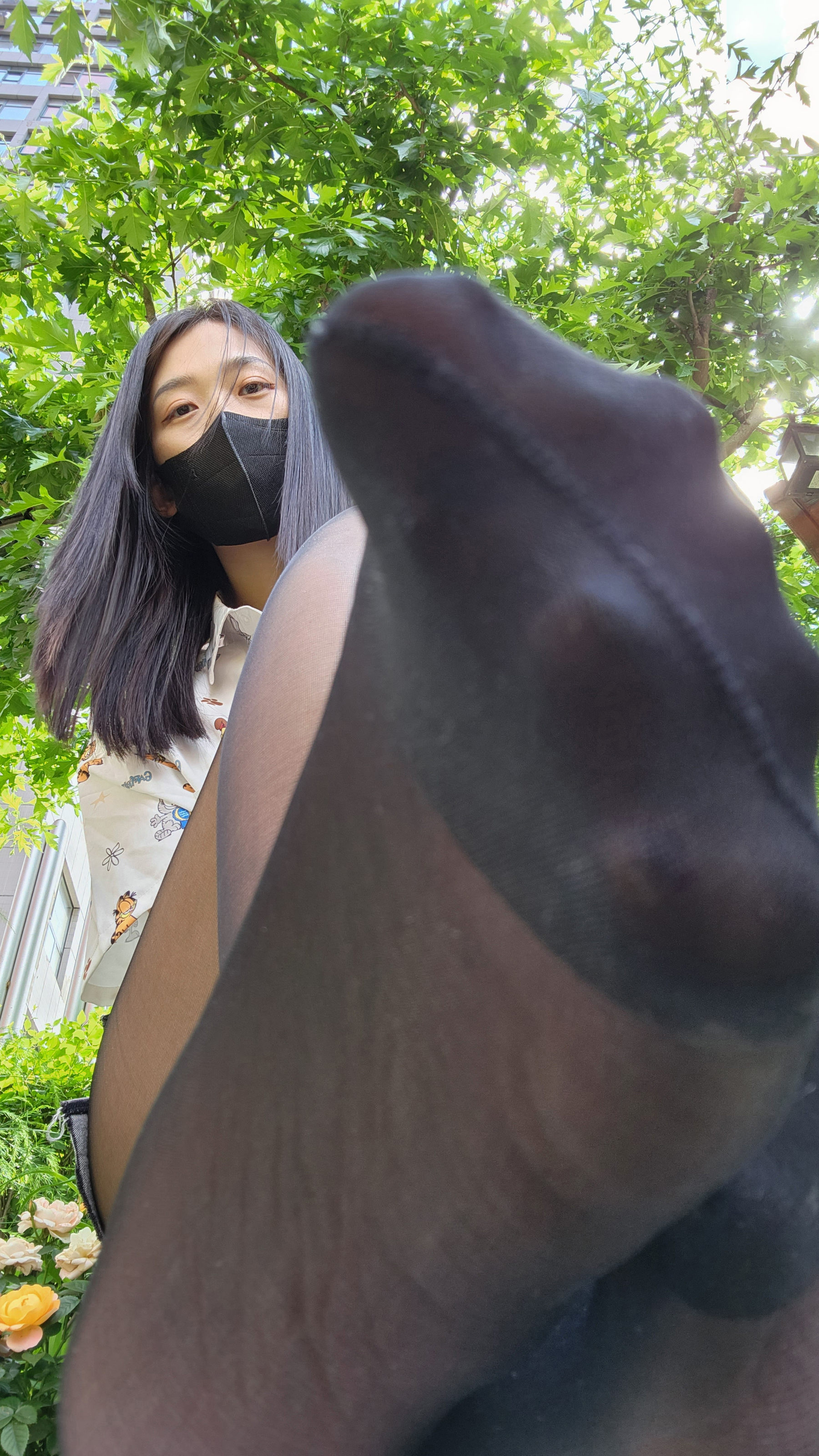 后海小熊猫 不蕉绿