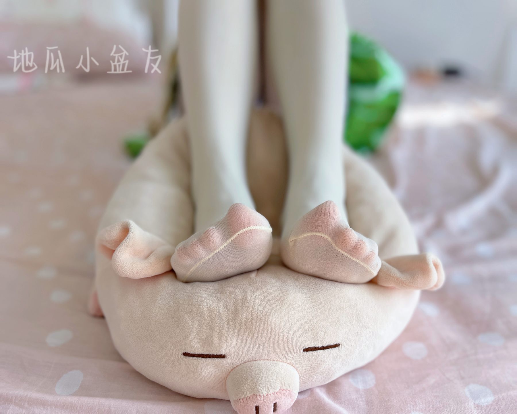 地瓜小盆友 - 草神