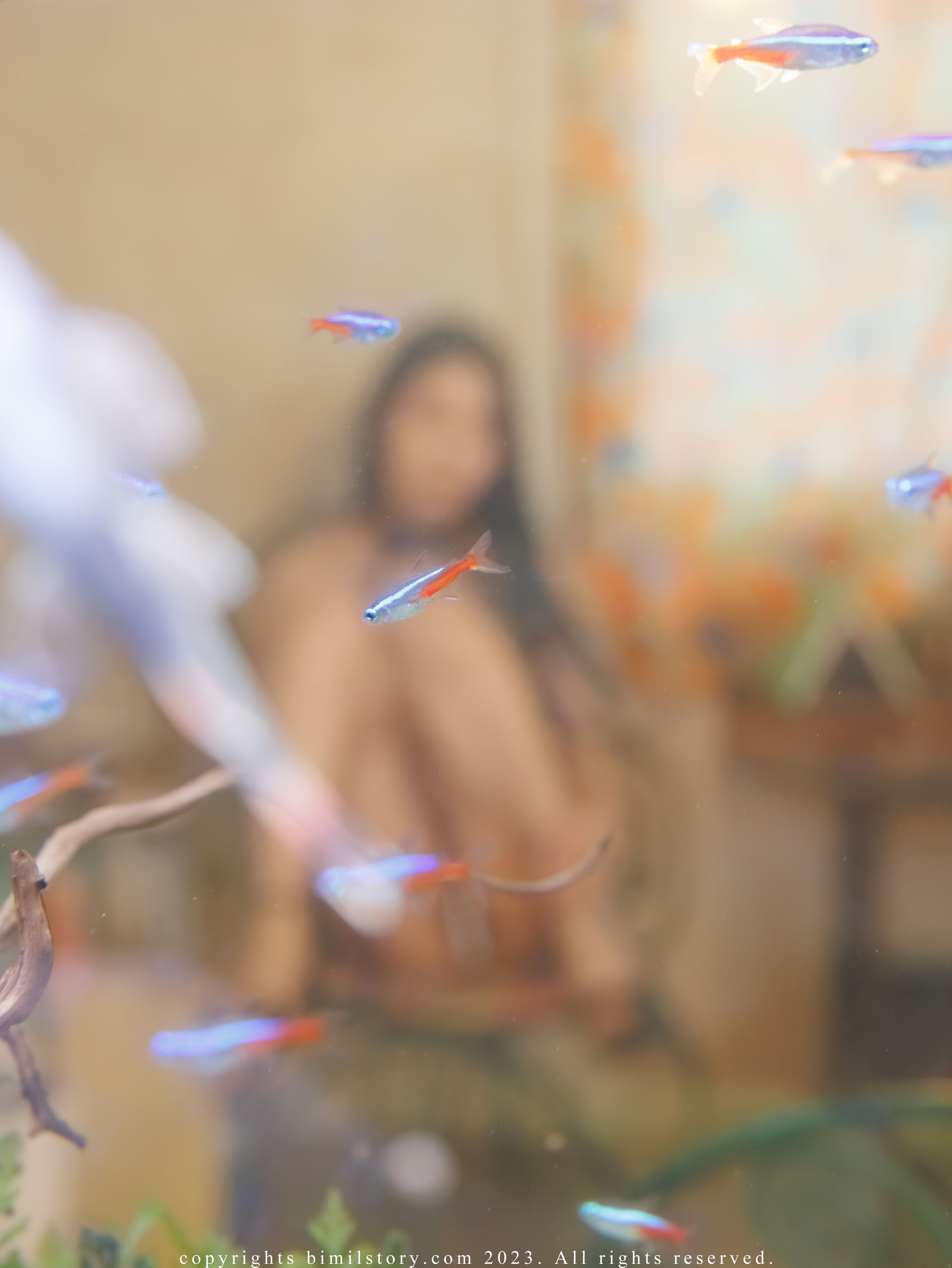 [Bimilstory] Bomi - Vol.31 Fantasy  bondage