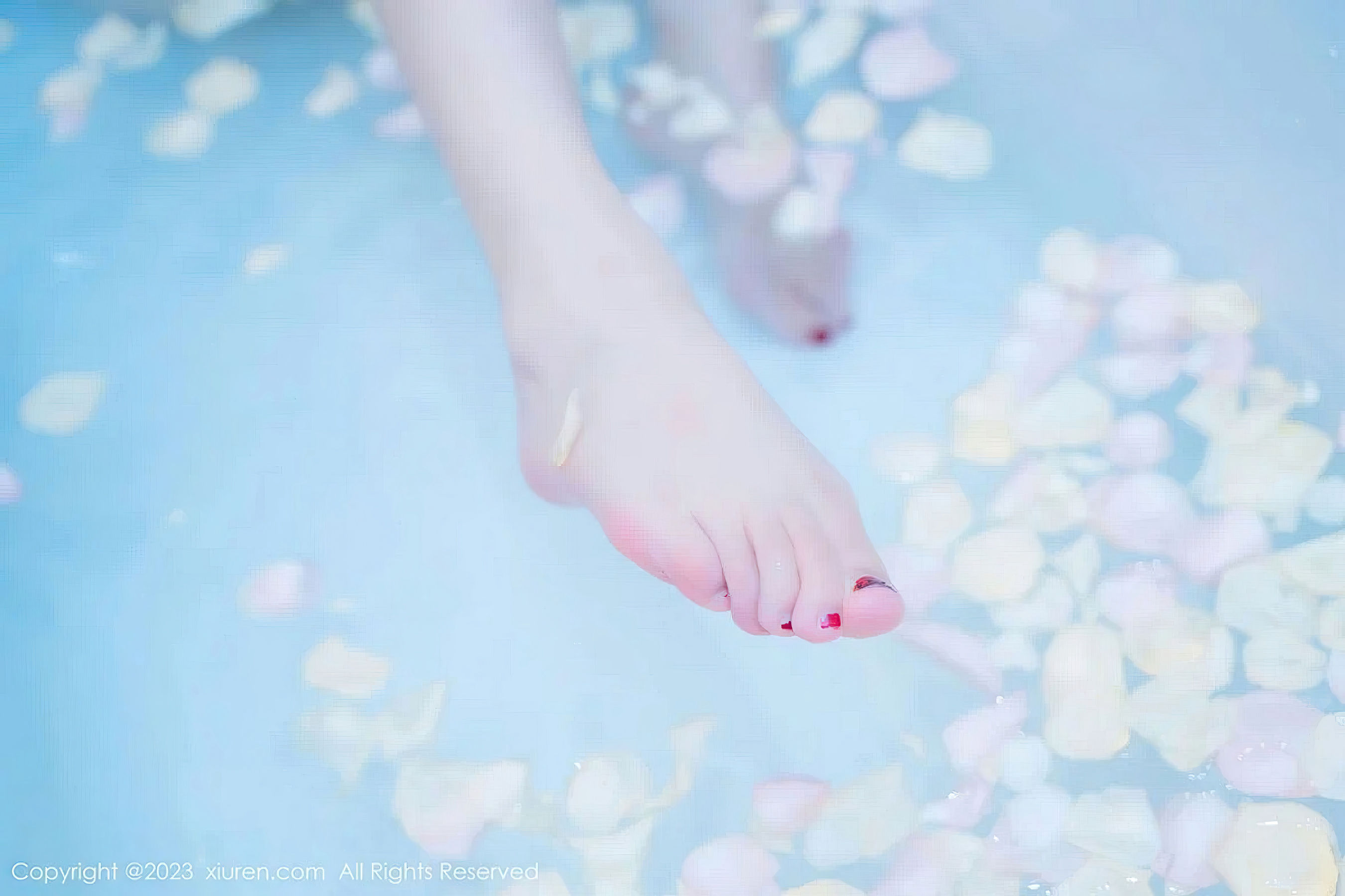 [秀人XiuRen] 2023.06.28 No.6986 加朵