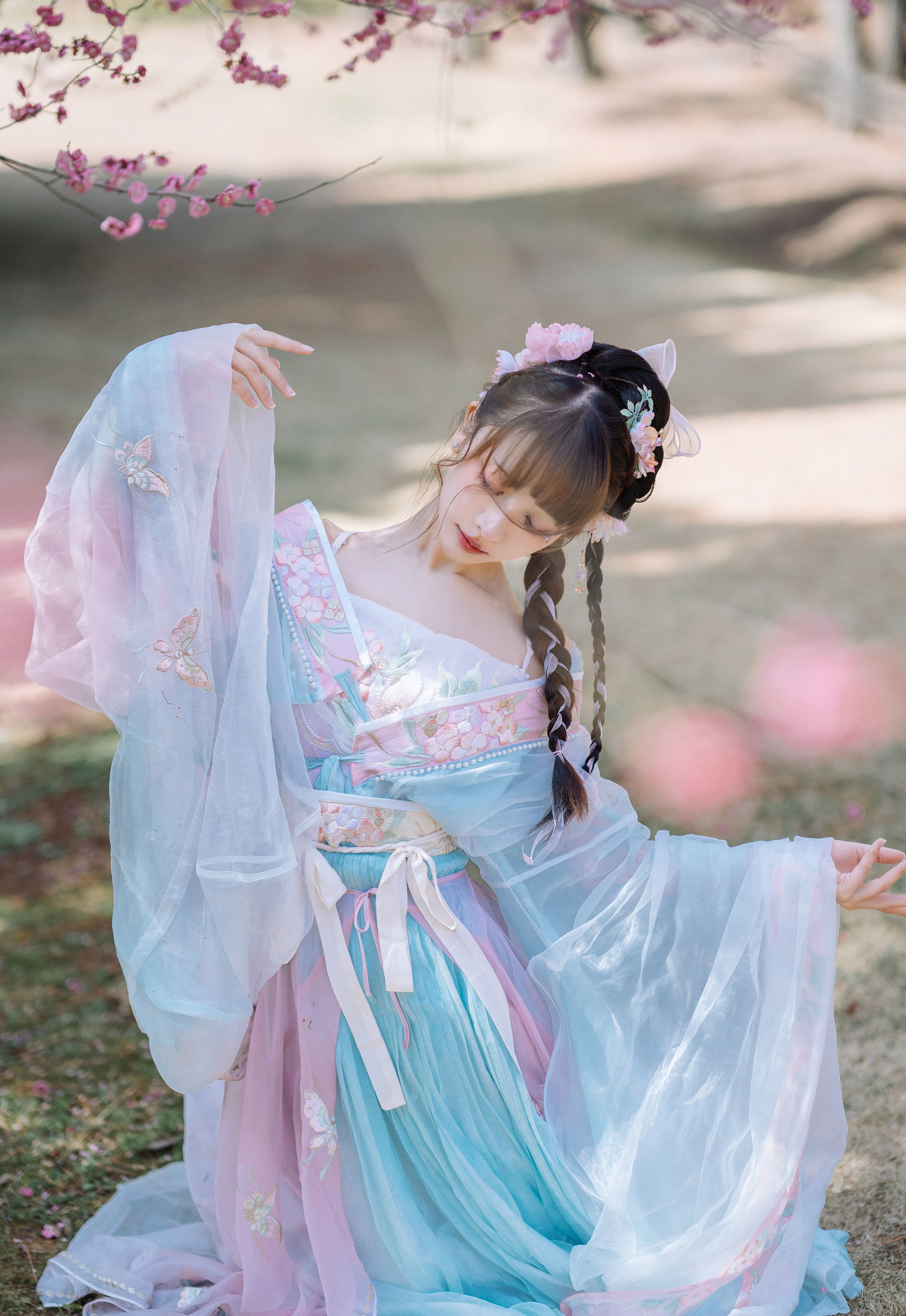 紫氯氯 - 二月梅花