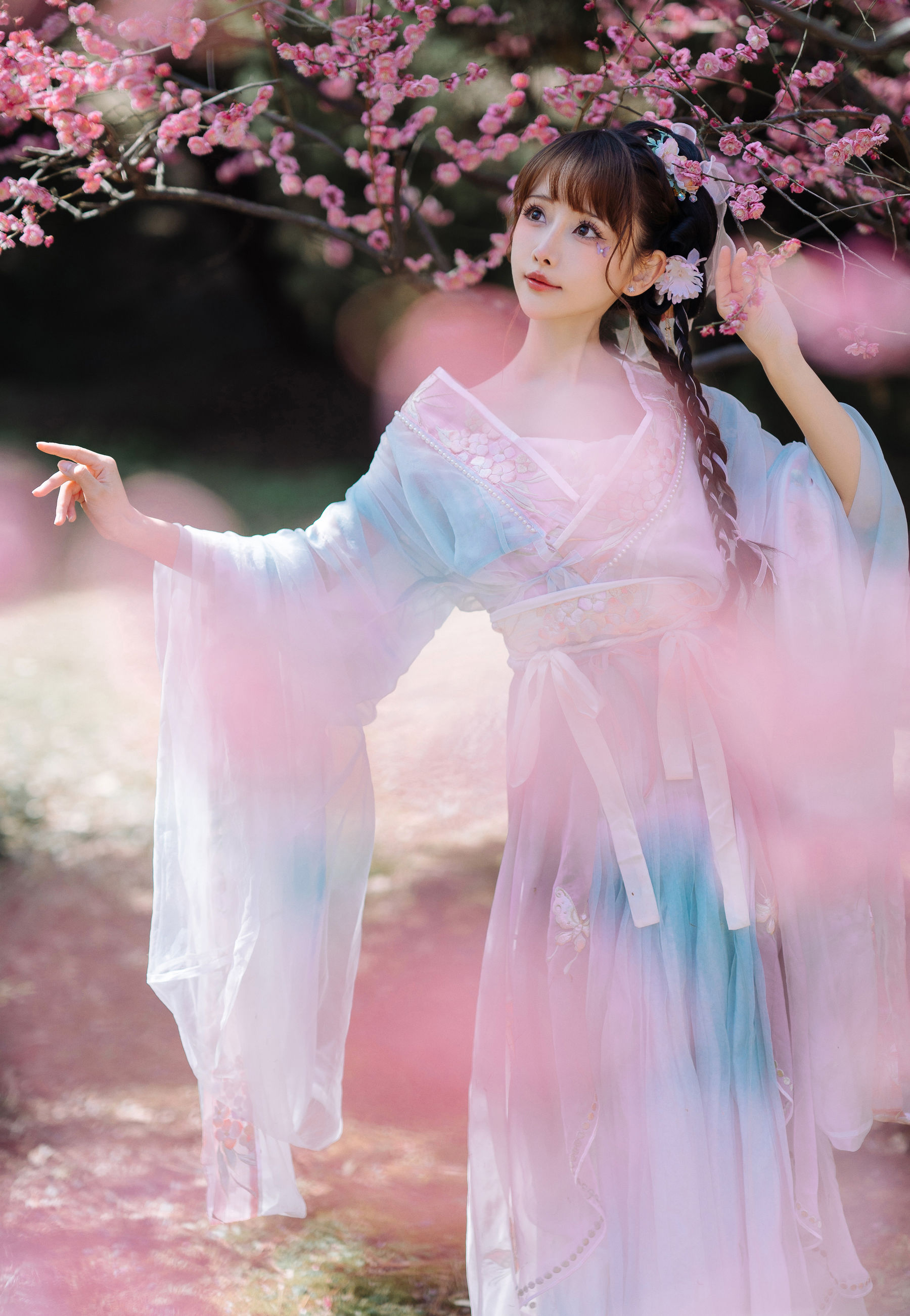 紫氯氯 - 二月梅花