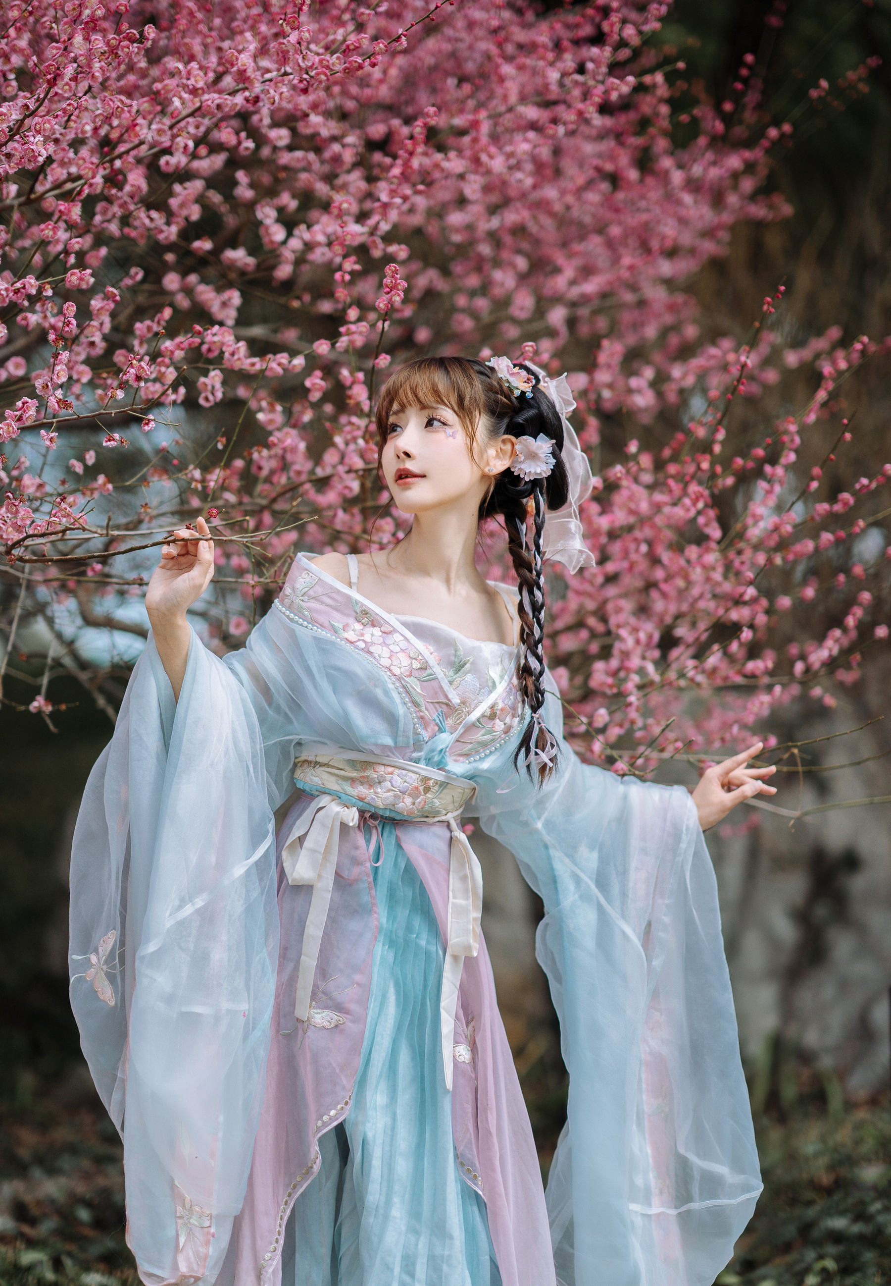 紫氯氯 - 二月梅花