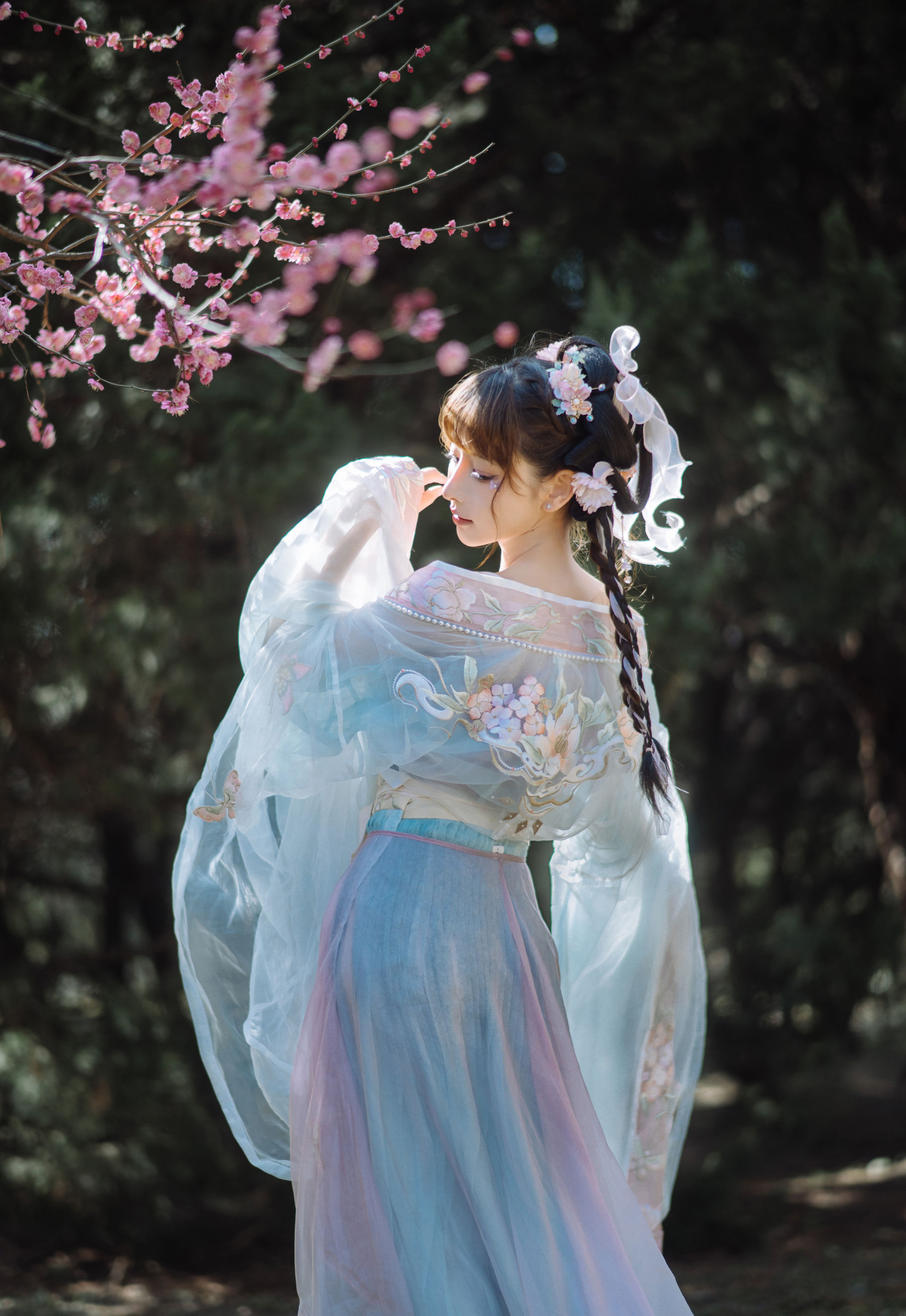 紫氯氯 - 二月梅花