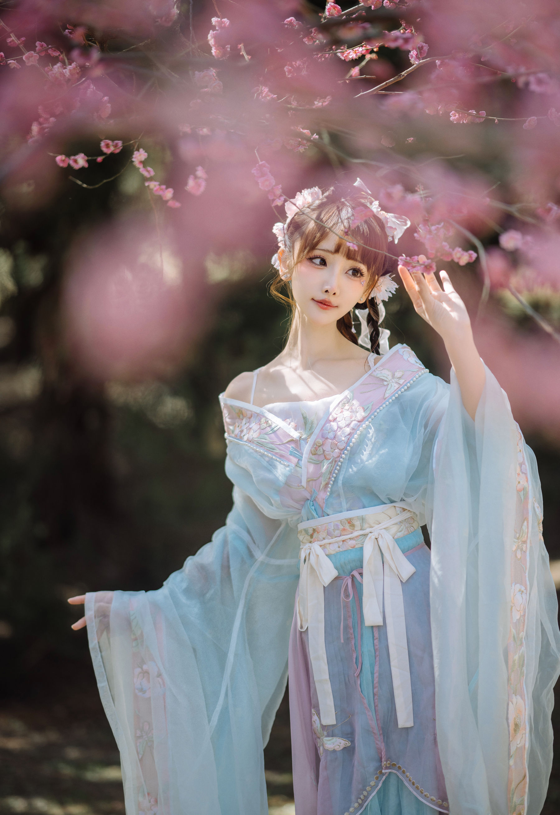紫氯氯 - 二月梅花