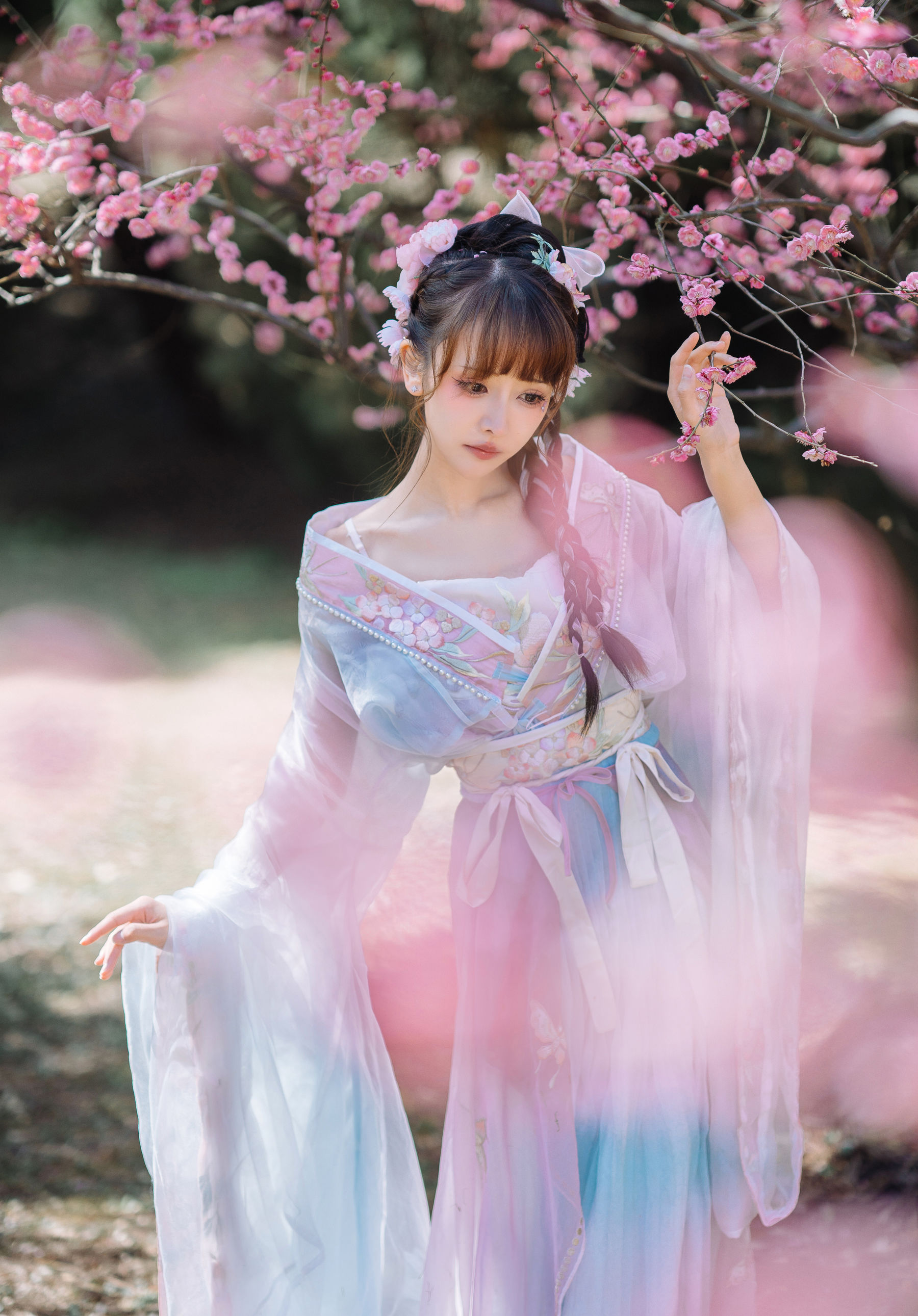 紫氯氯 - 二月梅花