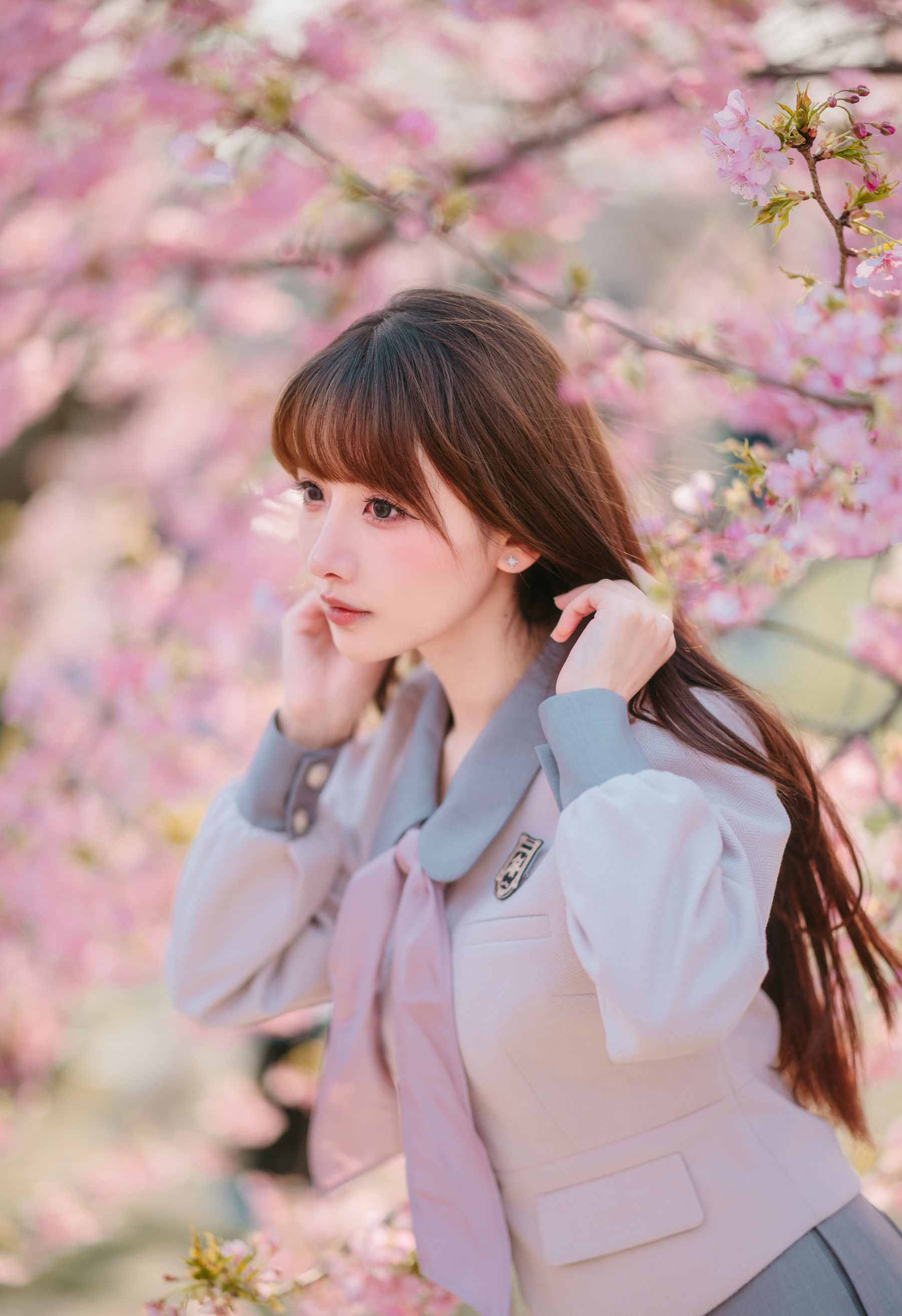 紫氯氯 - 樱花下的JK少女