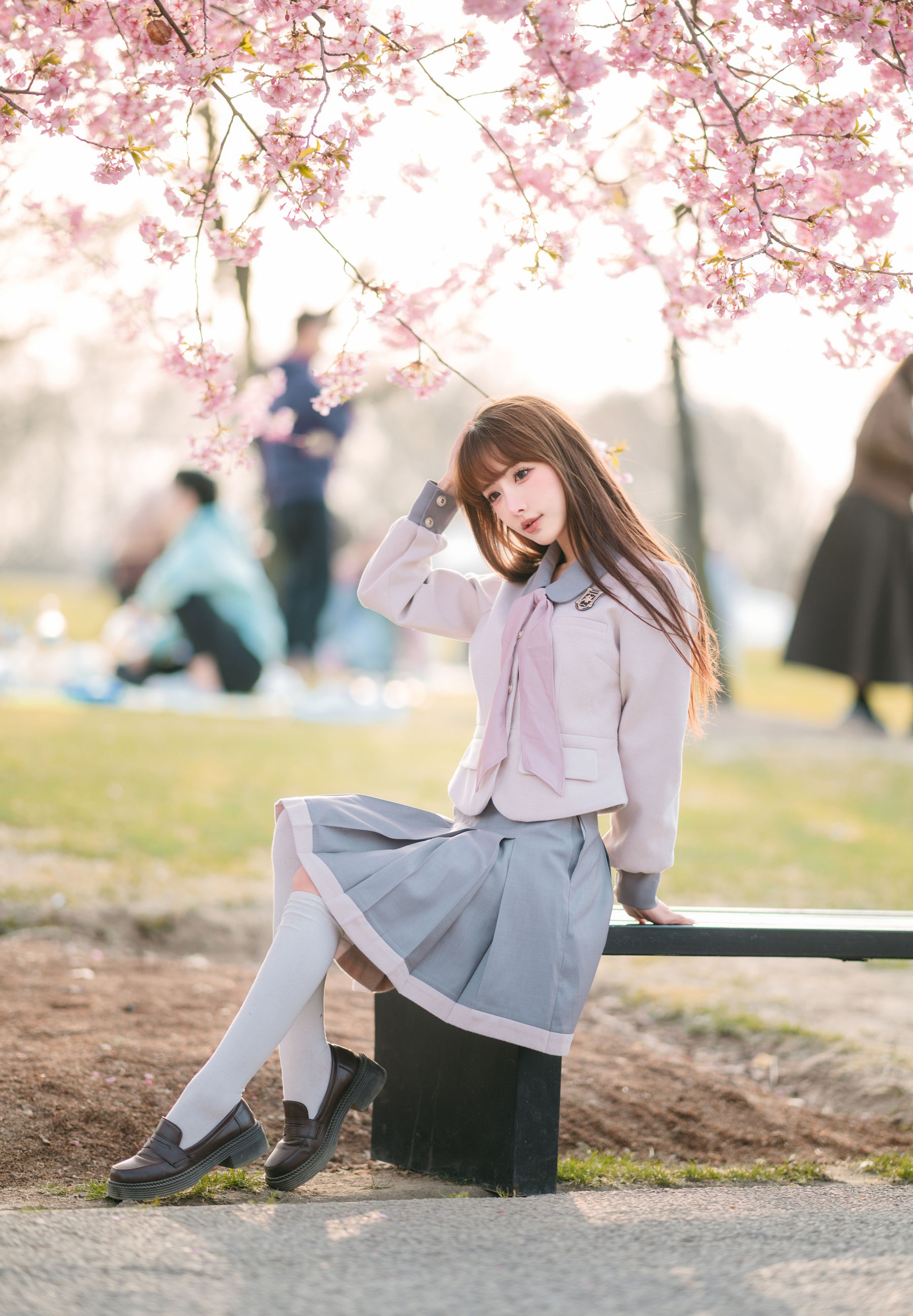 紫氯氯 - 樱花下的JK少女