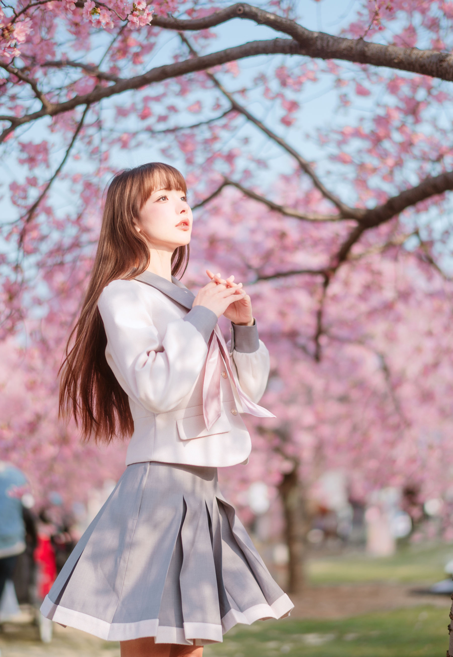 紫氯氯 - 樱花下的JK少女