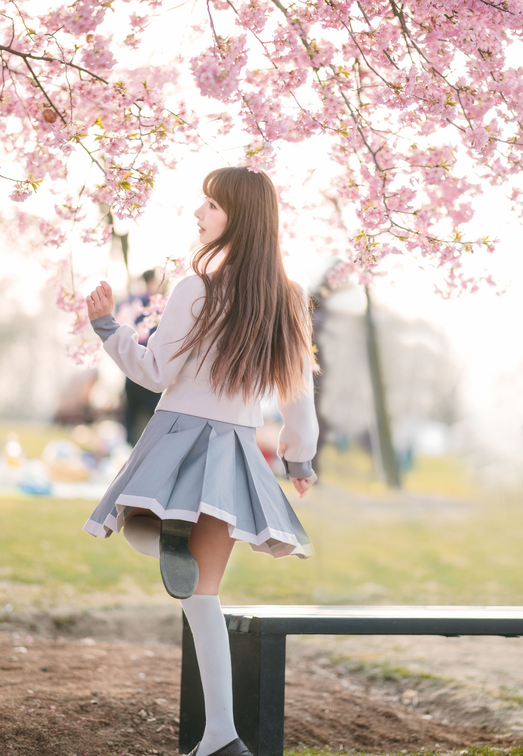 紫氯氯 - 樱花下的JK少女