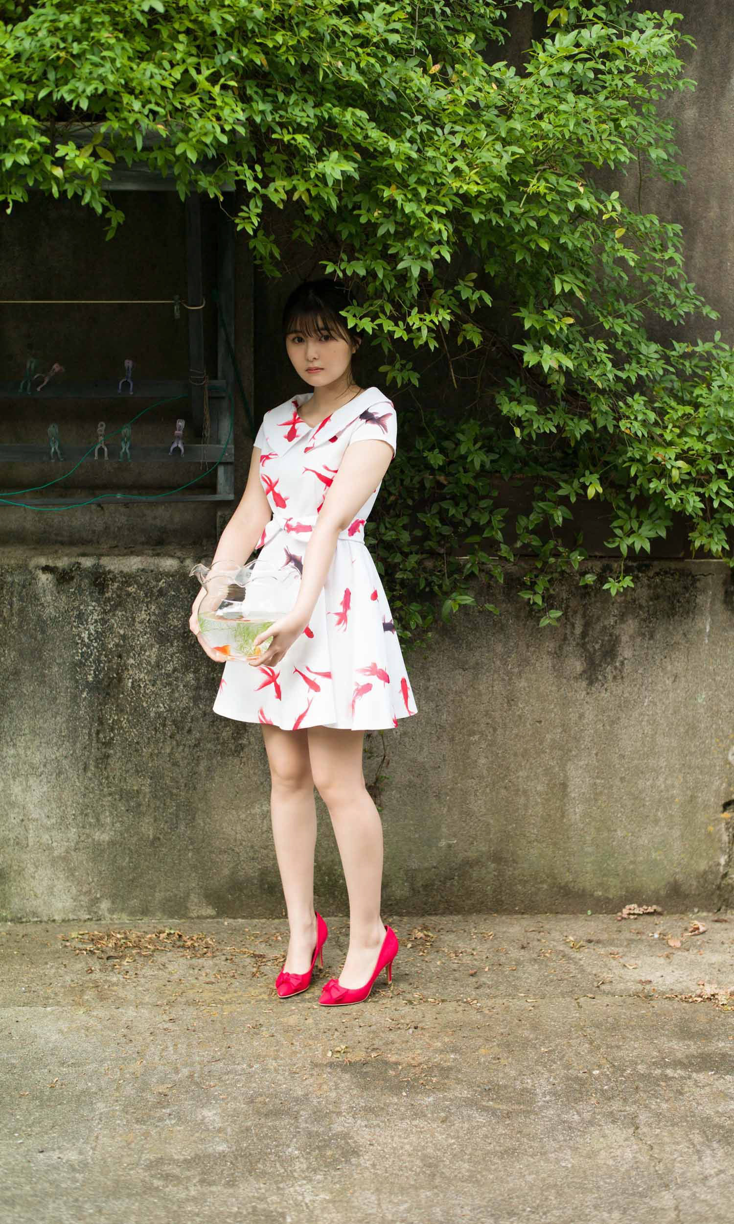 Sakina Tonchiki 頓知気さきな - Summer goldfish 夏の金魚