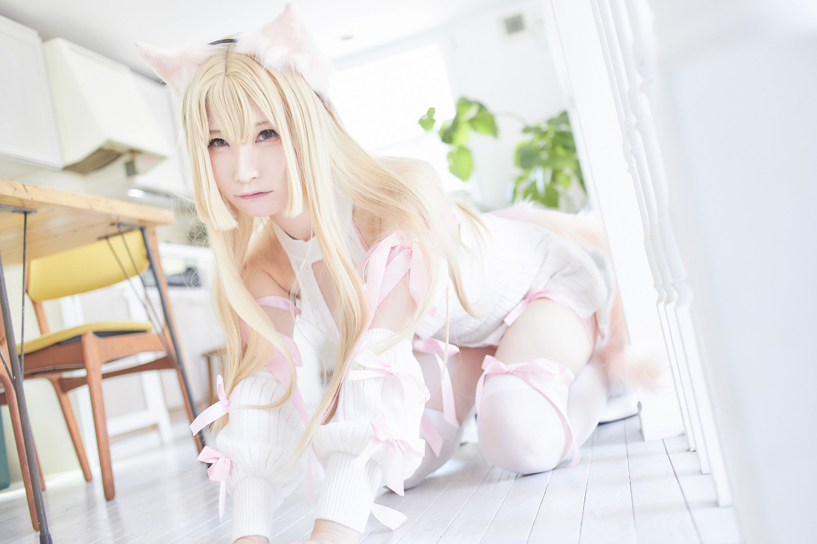 [Cosplay] [my suite] Atsuki あつき - Feelings of a cat ネコのキモチ (Original)