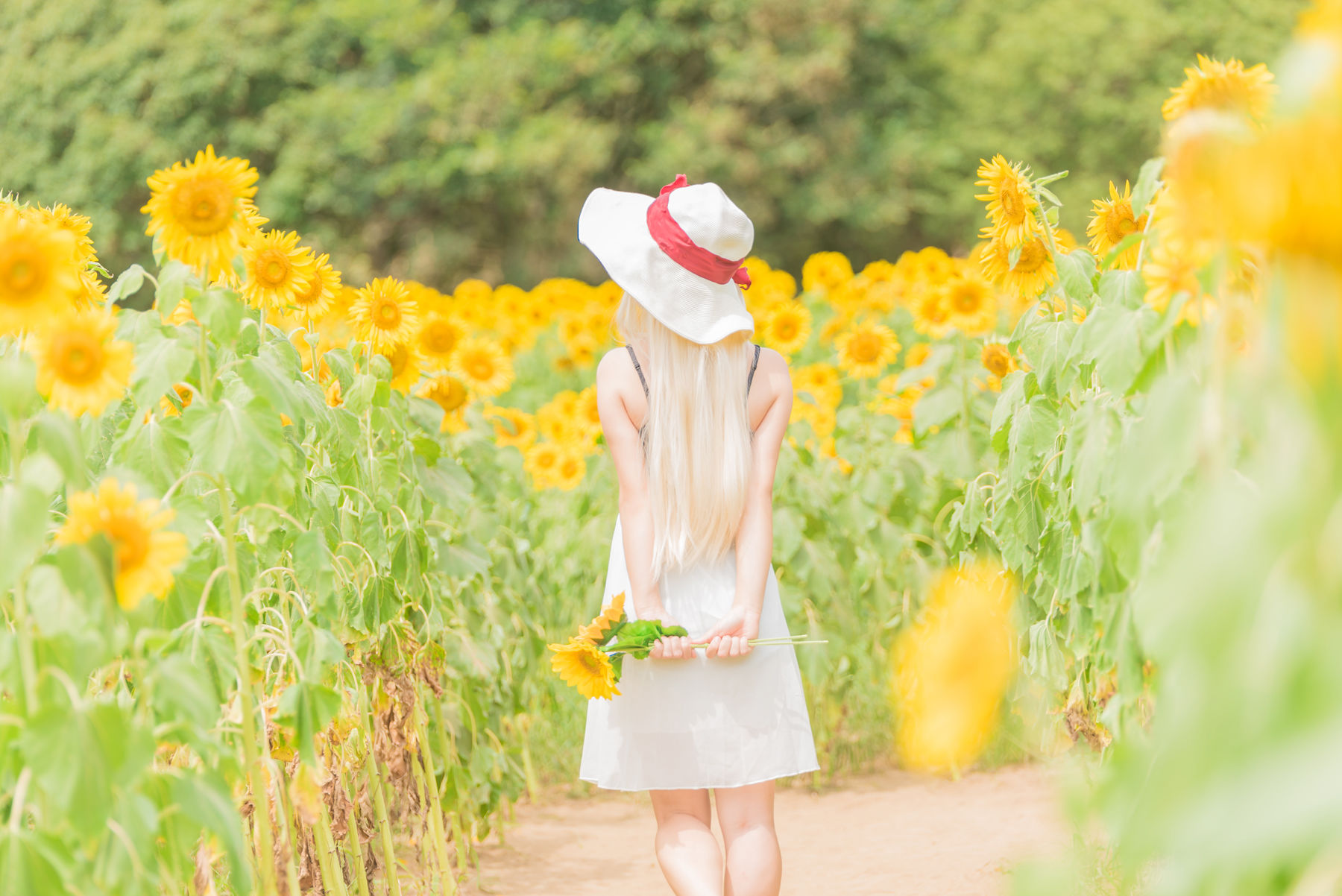 [Cosplay] [Ruu Milk] Ruu Matsutani 松谷琉優 - Illya イリヤ four season