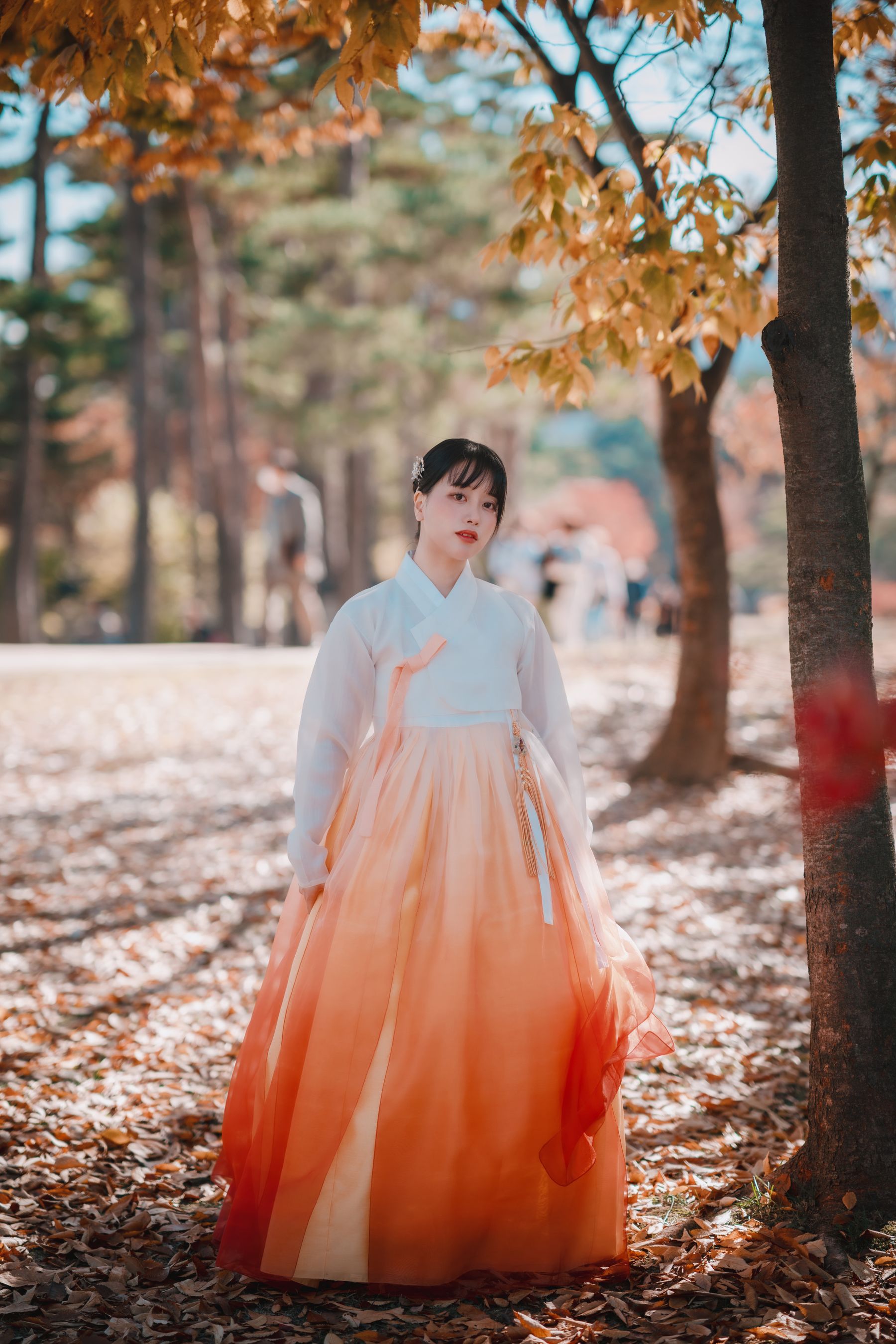 [DJAWA] ZziZzi - Chuseok