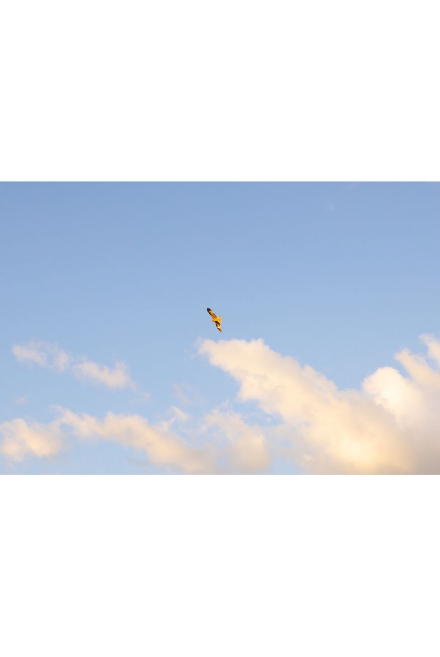 天馬ゆい 1st グラビア写真集 君と空の下で