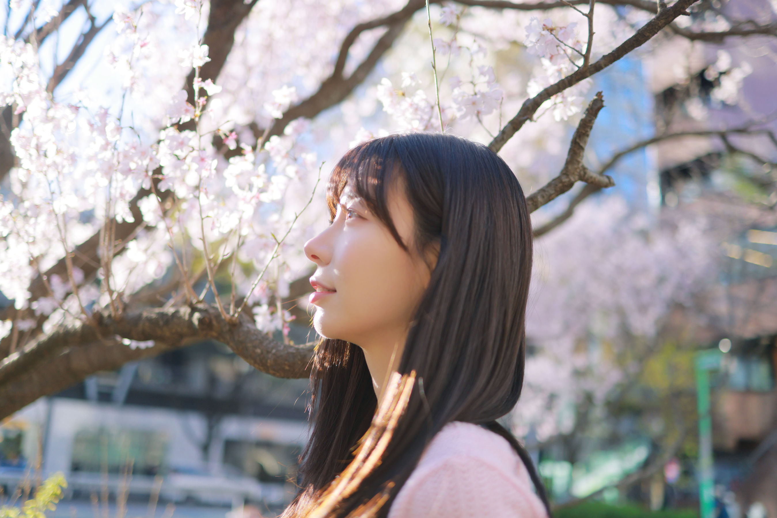 [PATREON] Sovely - Sakura Vol.1